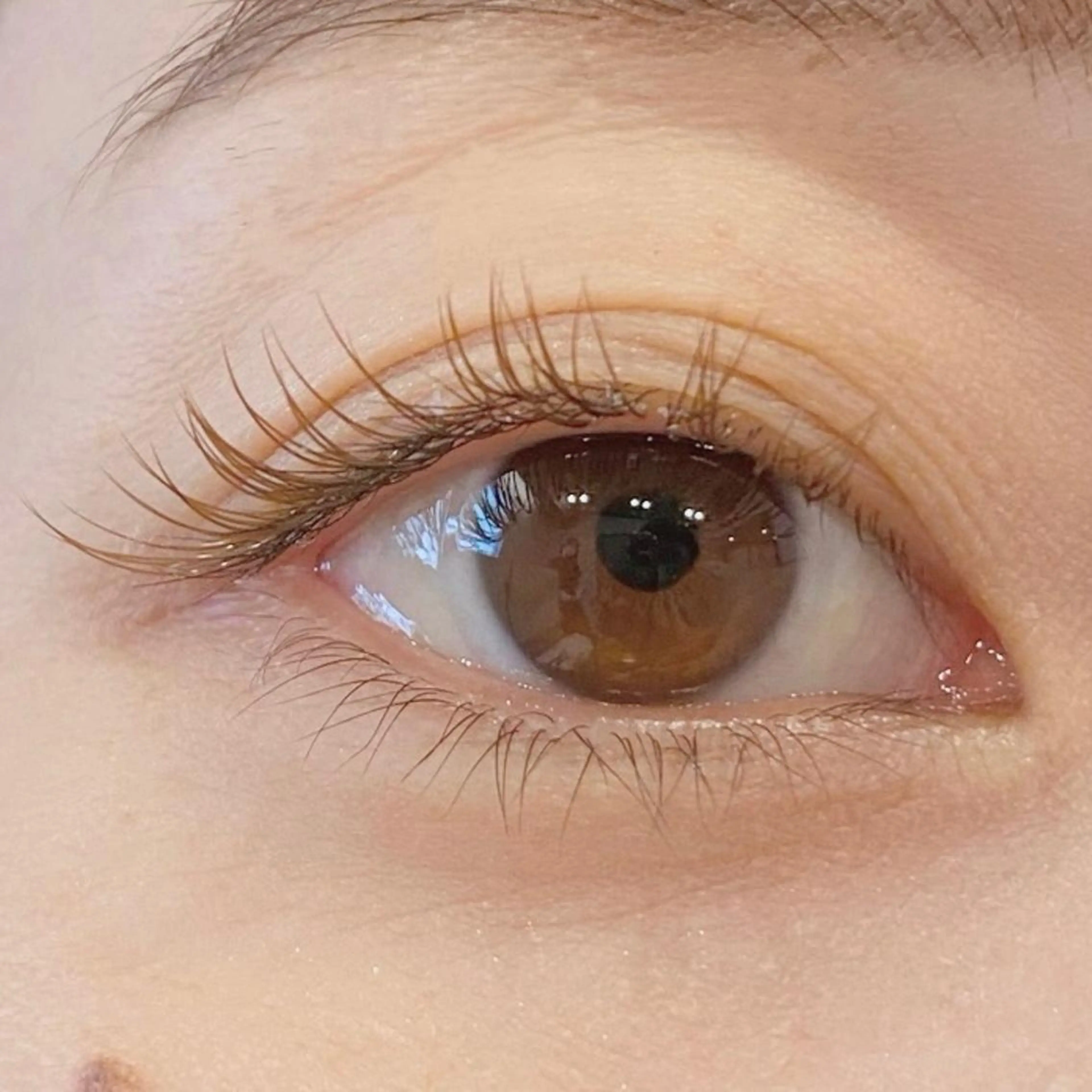 マツエク・マツパ カラーマツエク 目尻長め 清水 あやねのマツエク・マツパデザイン