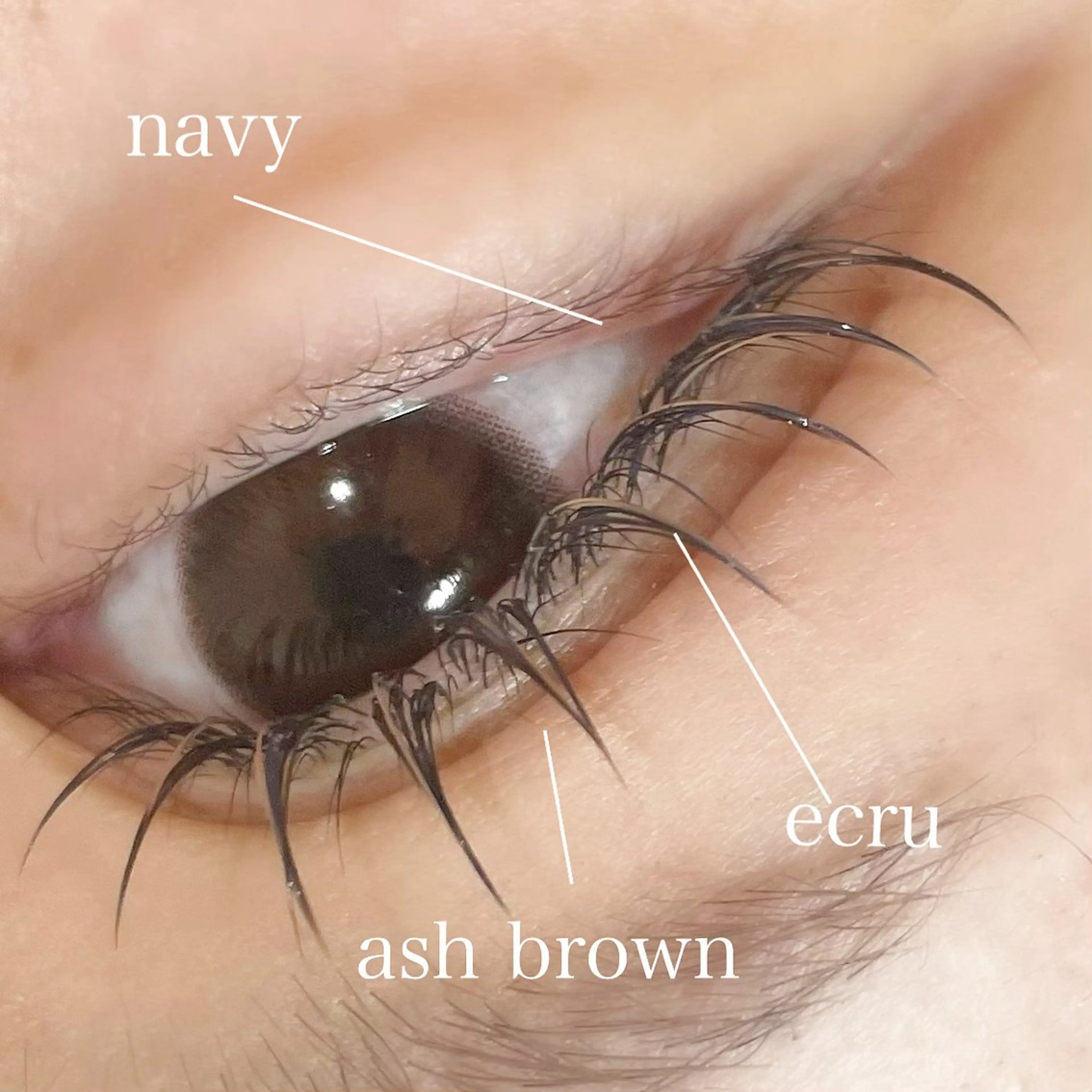 マツエク・マツパ salut ayakaのマツエク・マツパデザイン