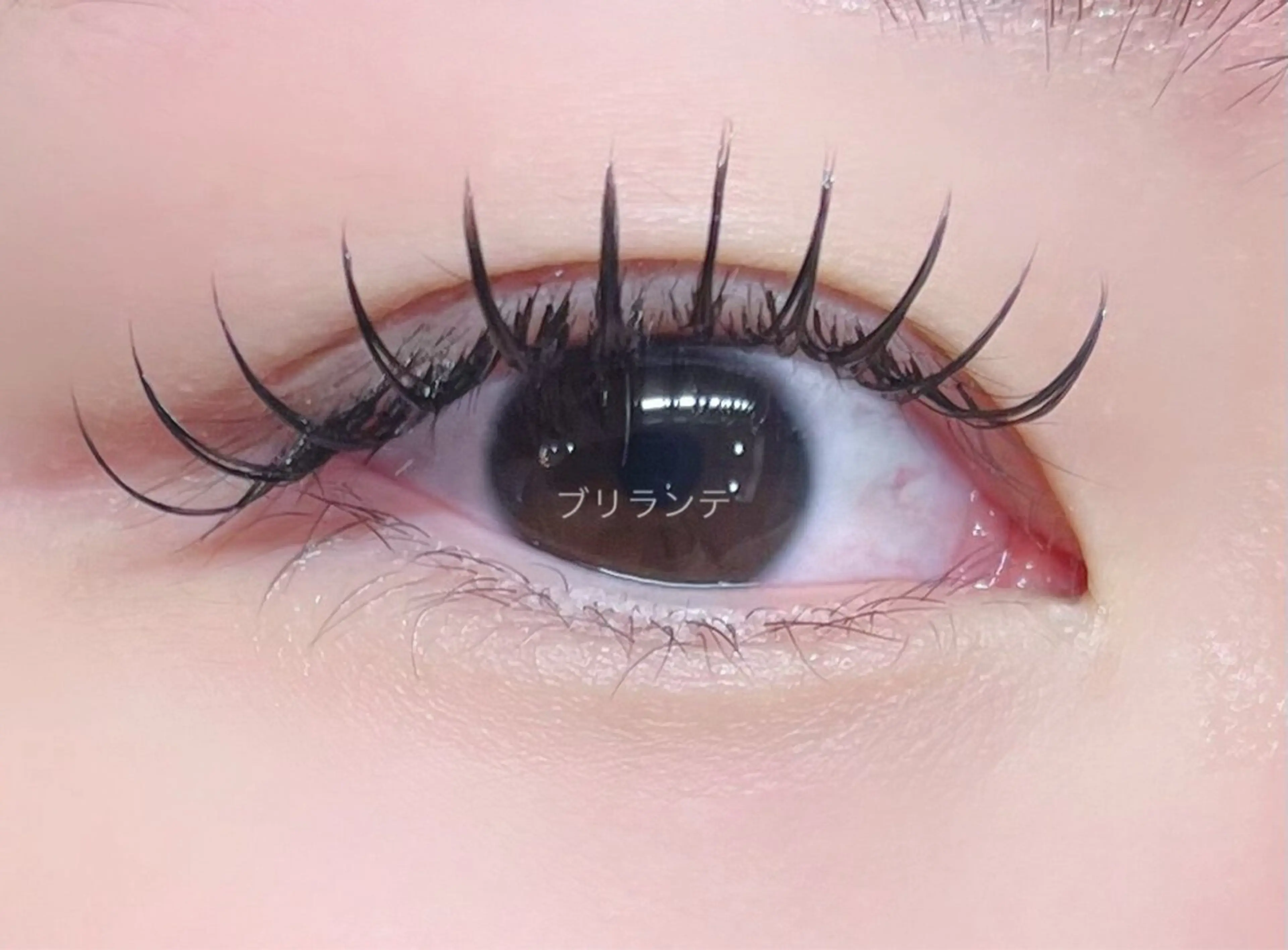 マツエク・マツパ マツエク 🌹ブリランテ🌹 大人気店のマツエク・マツパデザイン