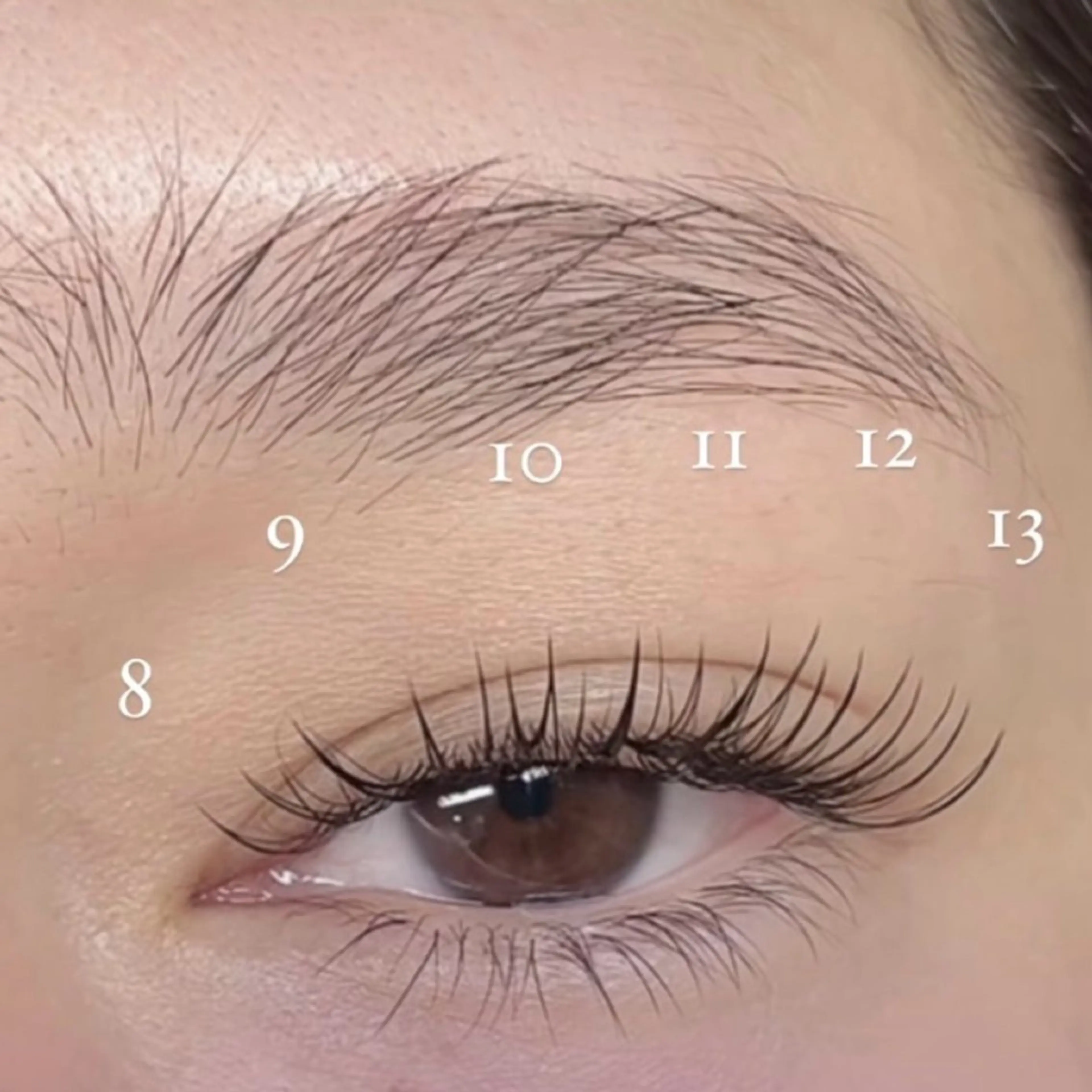 マツエク・マツパ AILEEN *のマツエク・マツパデザイン