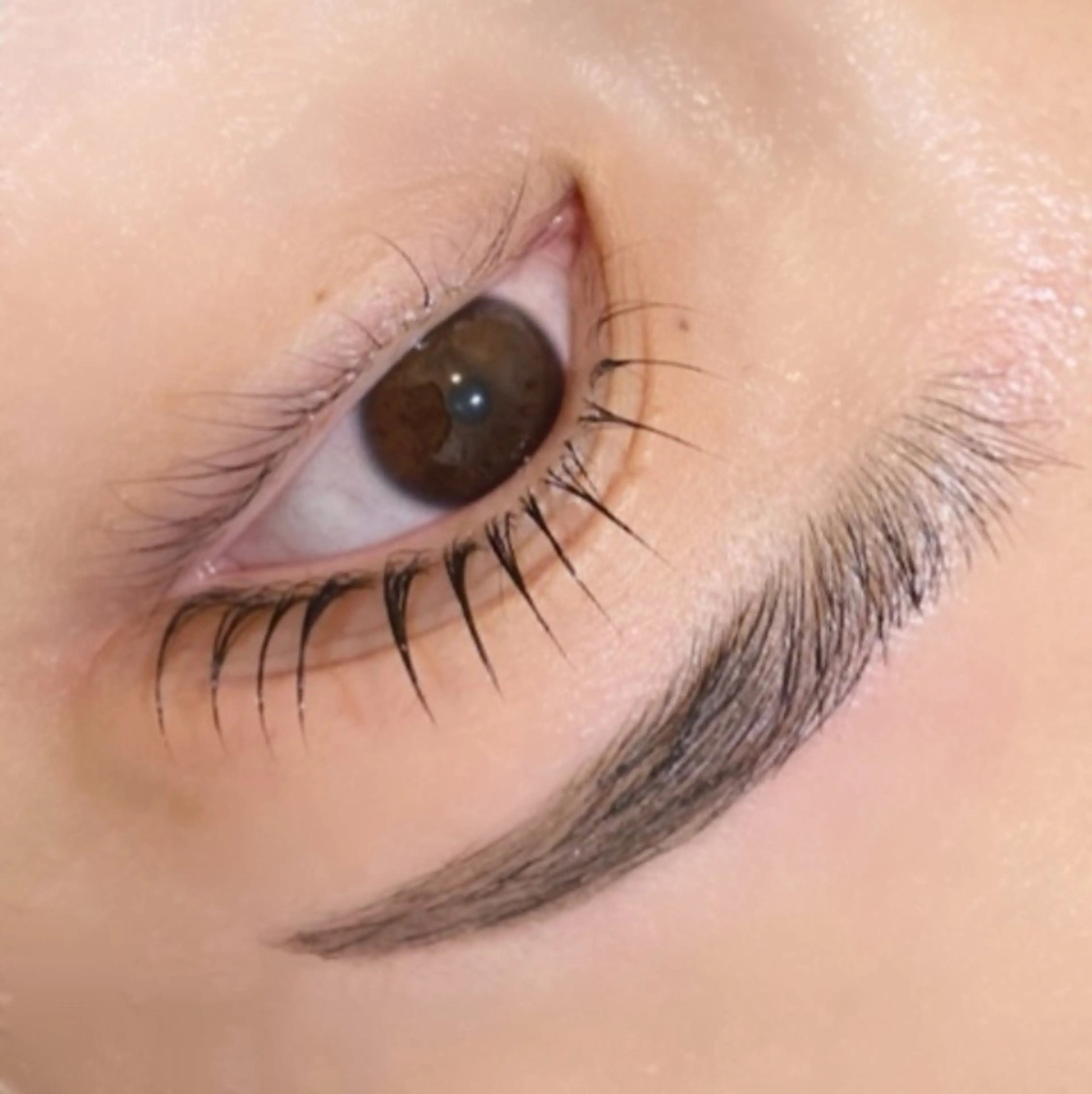 マツエク・マツパ ワックス脱毛 その他(アイブロウ) ルクール見附店 吉田愛来のマツエク・マツパデザイン