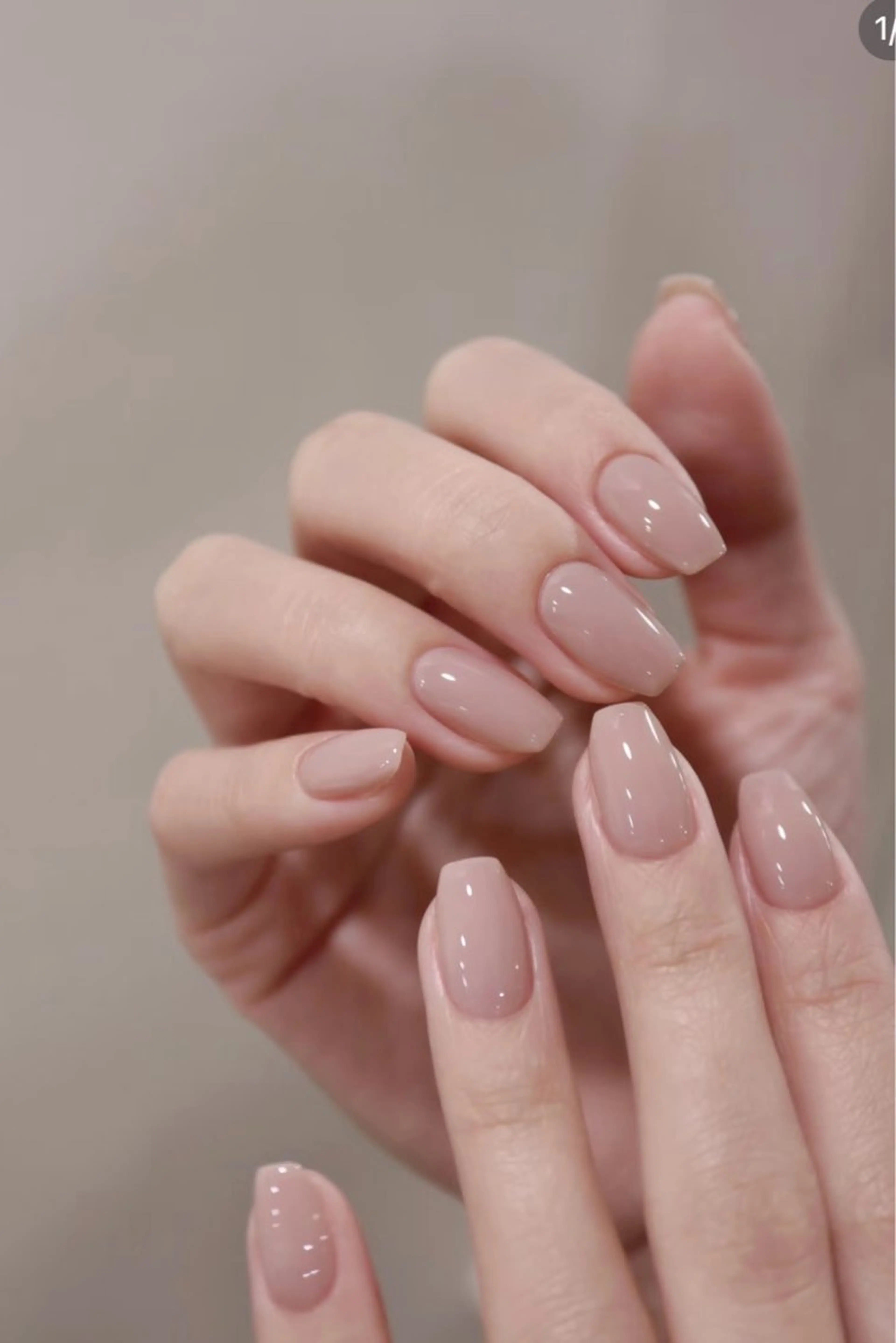 ネイル ハン シカのネイルデザイン