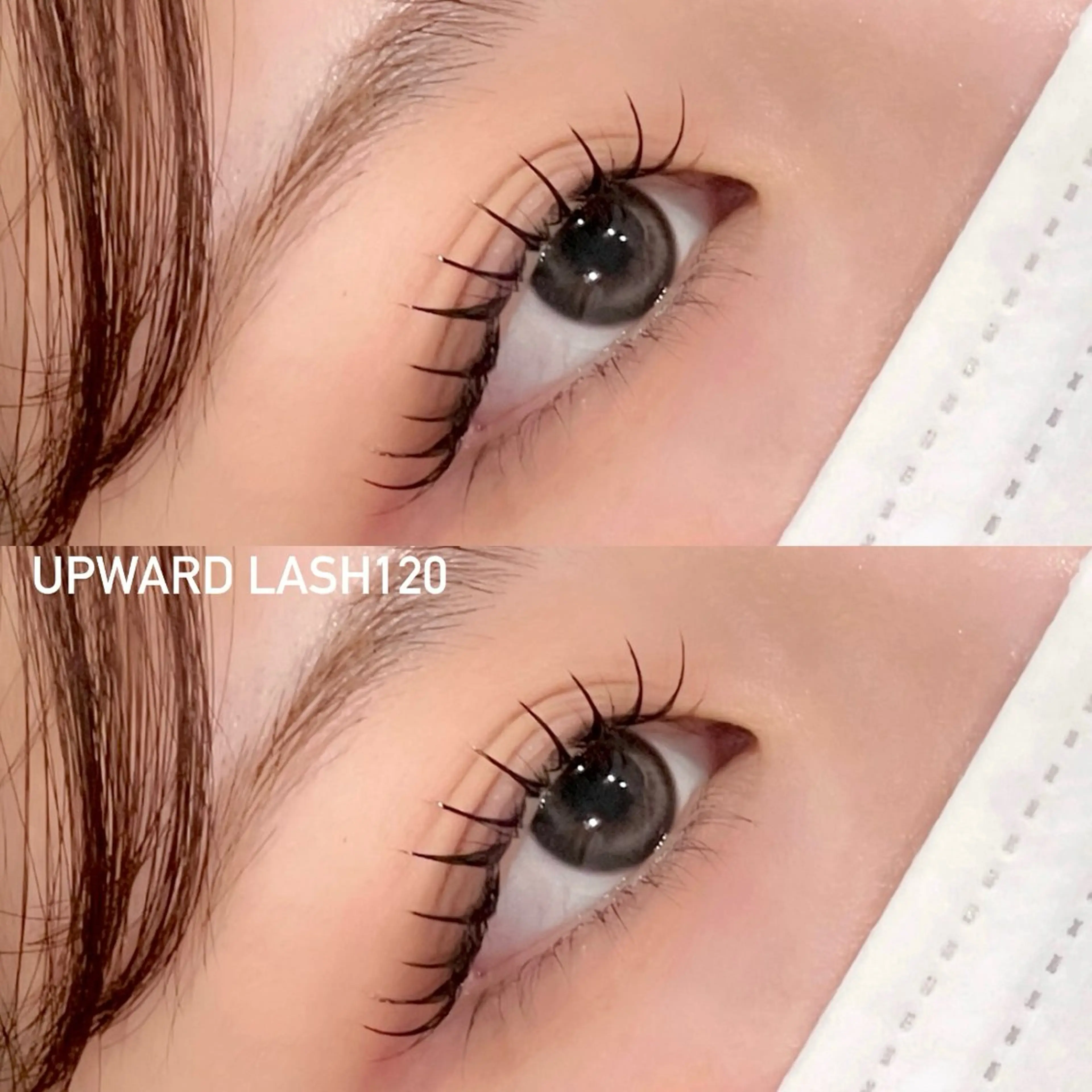 【新規】人気NO.3🥉韓国EYE♡LED×120本／アップワードラッシュ／束感仕上げ♡／オフ込の場合+¥500の写真