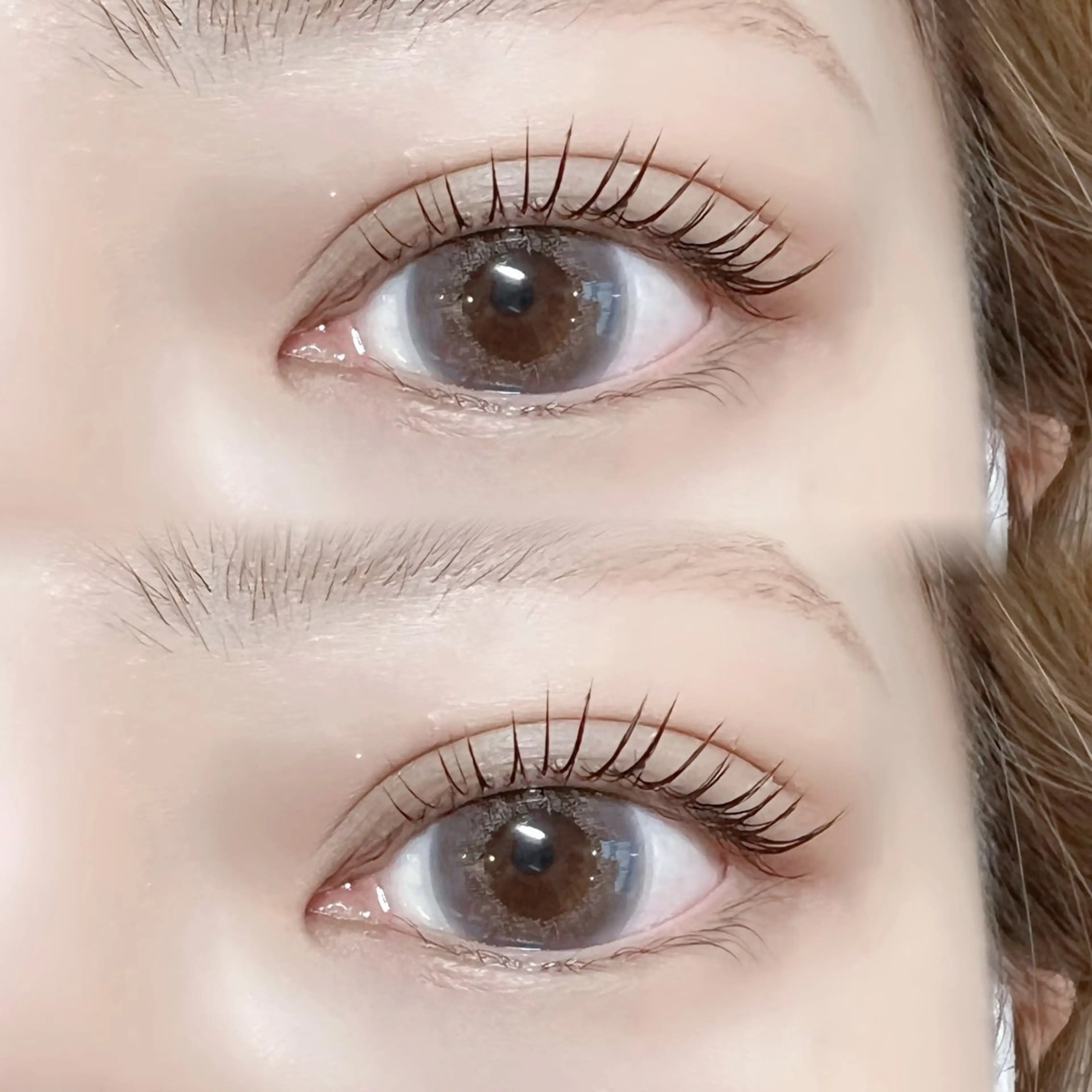 人気No.2ラッシュリフト💗トリートメント付き🐈‍⬛コーティング仕上げ⟡.·リピーター様➕¥500の写真