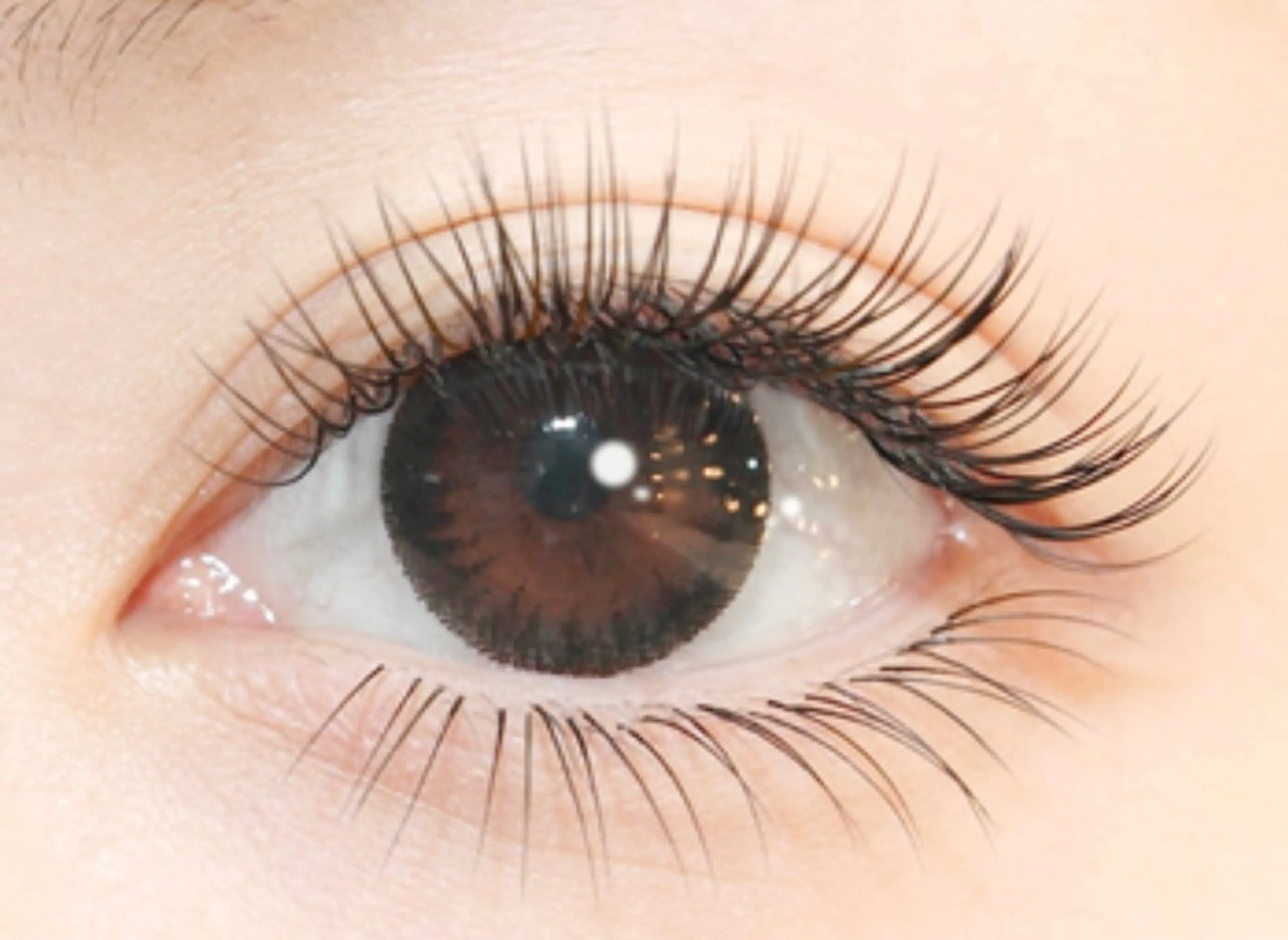 マツエク・マツパ momo 京橋のネイルデザイン