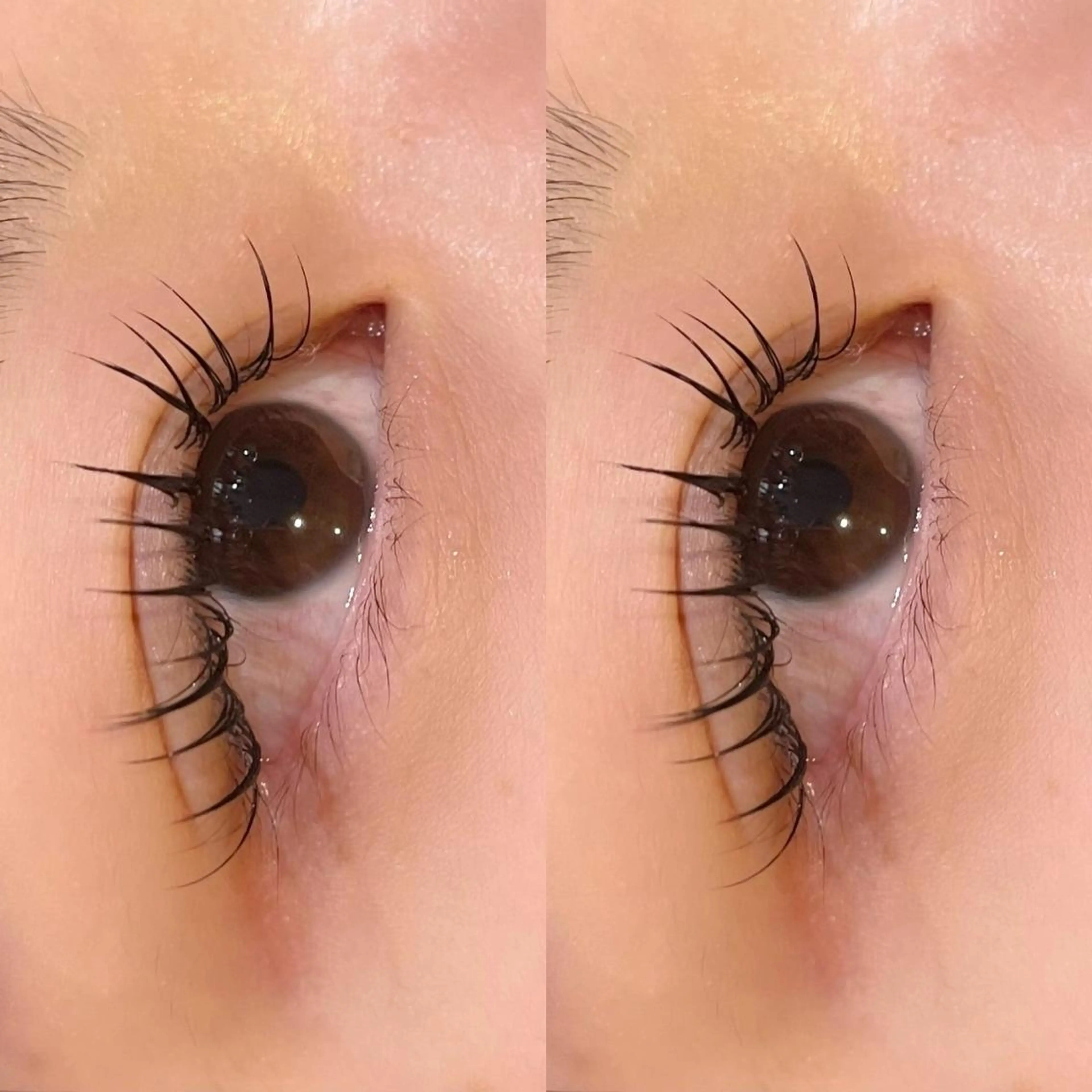 マツエク・マツパ Sylph 西宮店のマツエク・マツパデザイン