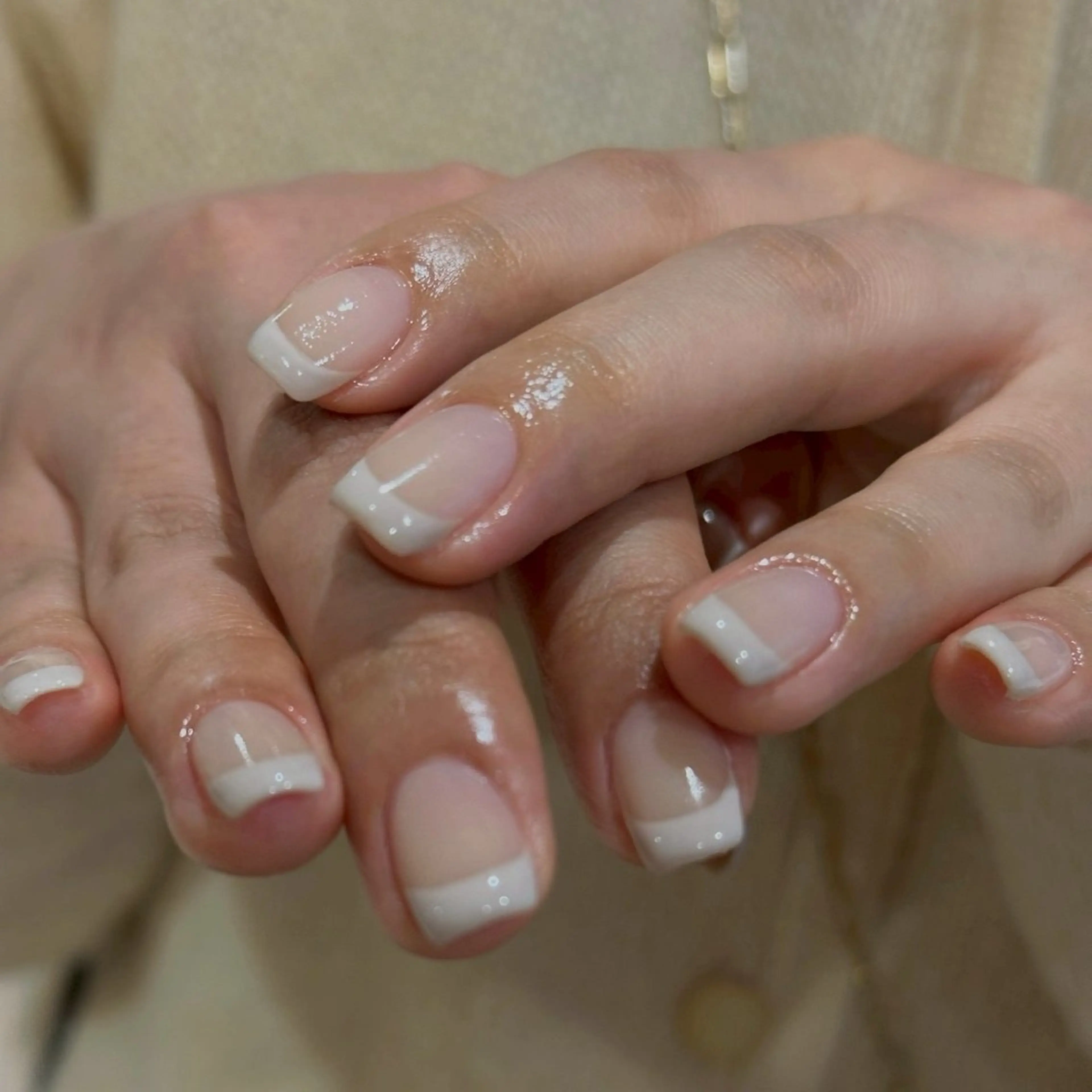 4/3限定【オフなし】フレンチの写真