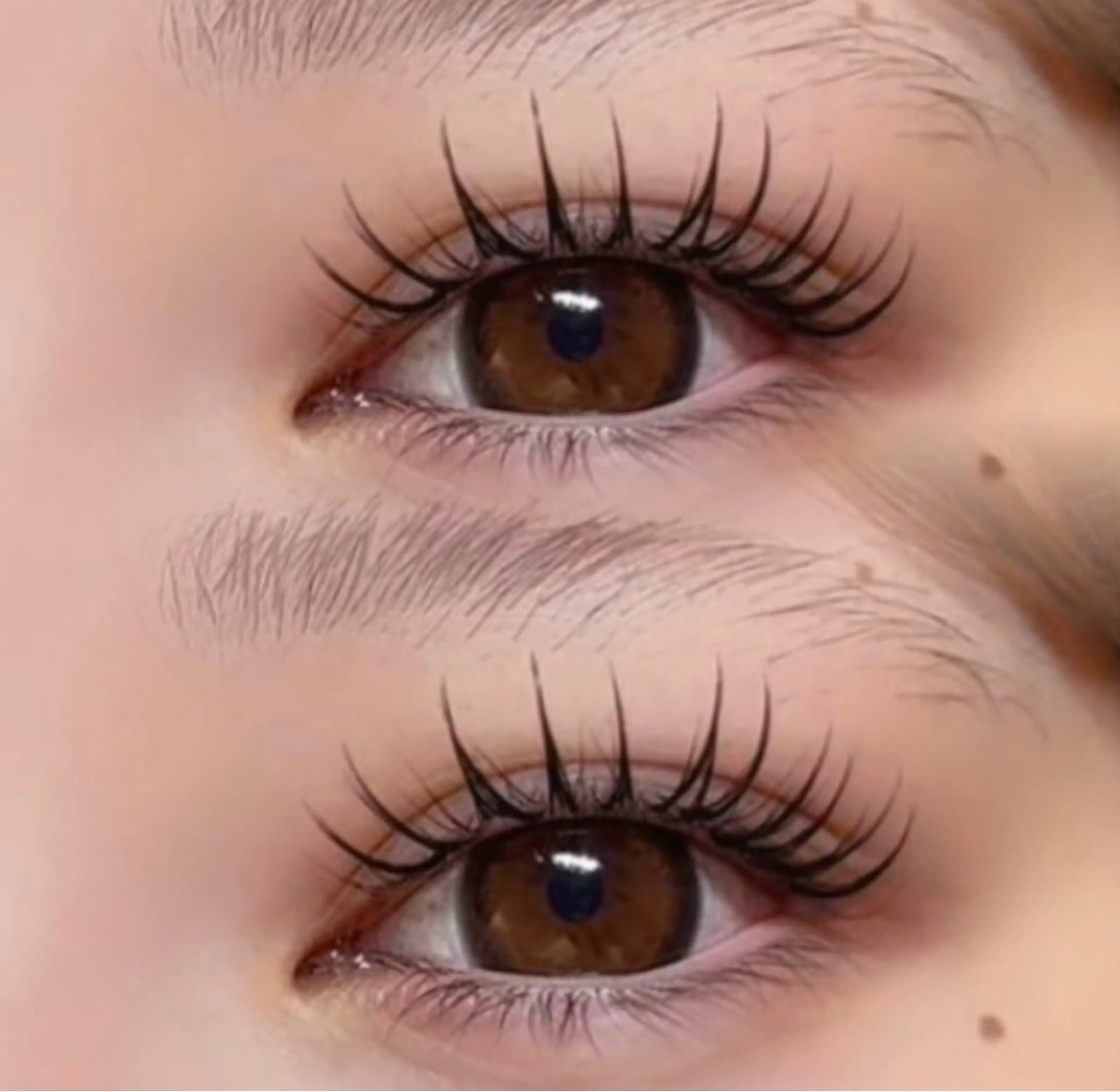 マツエク・マツパ lush&blow 　JIJI所属・lush &blow JIJIのマツエク・マツパデザイン