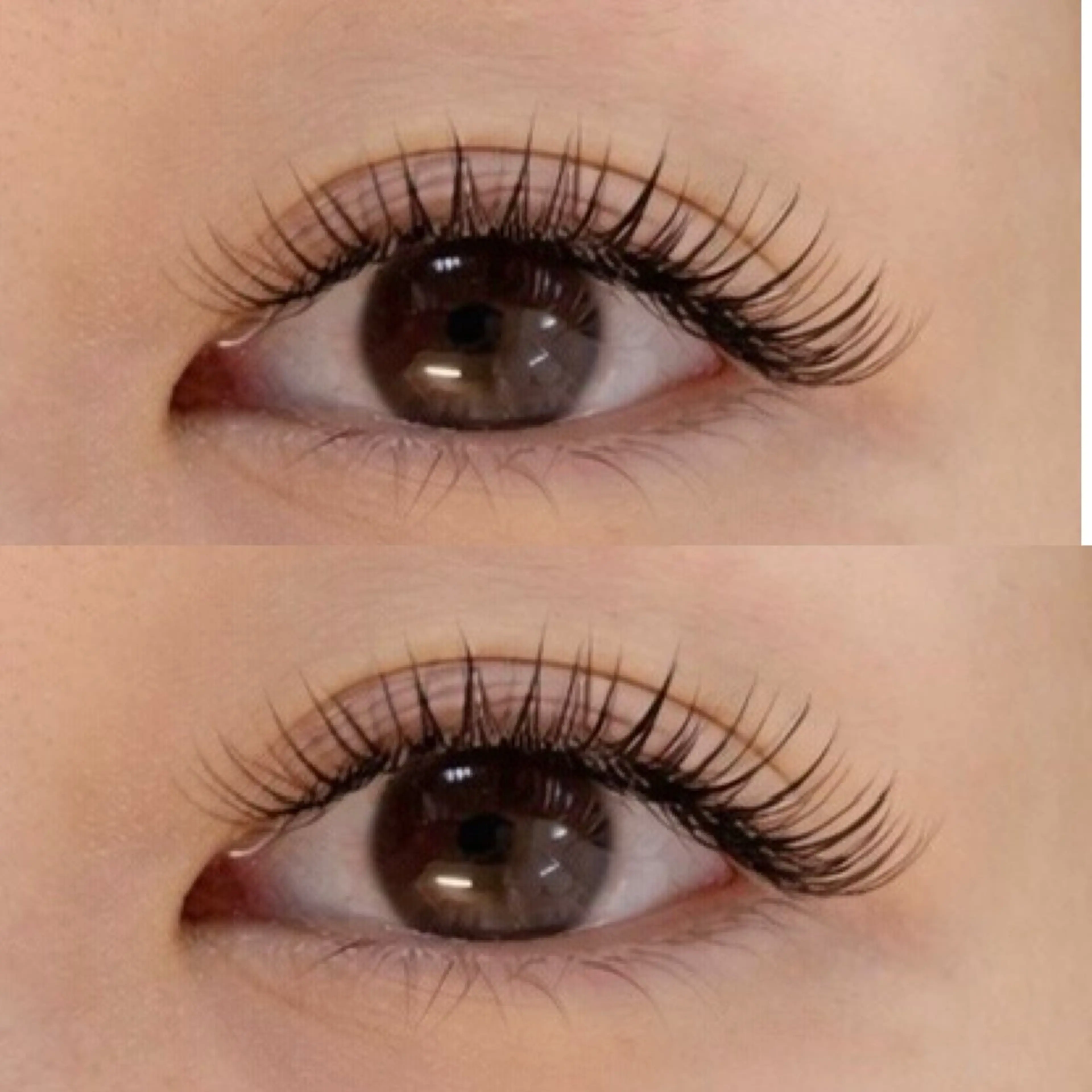 ボリュームラッシュ100束リペア可※オフがある方はお伝えくださいの写真