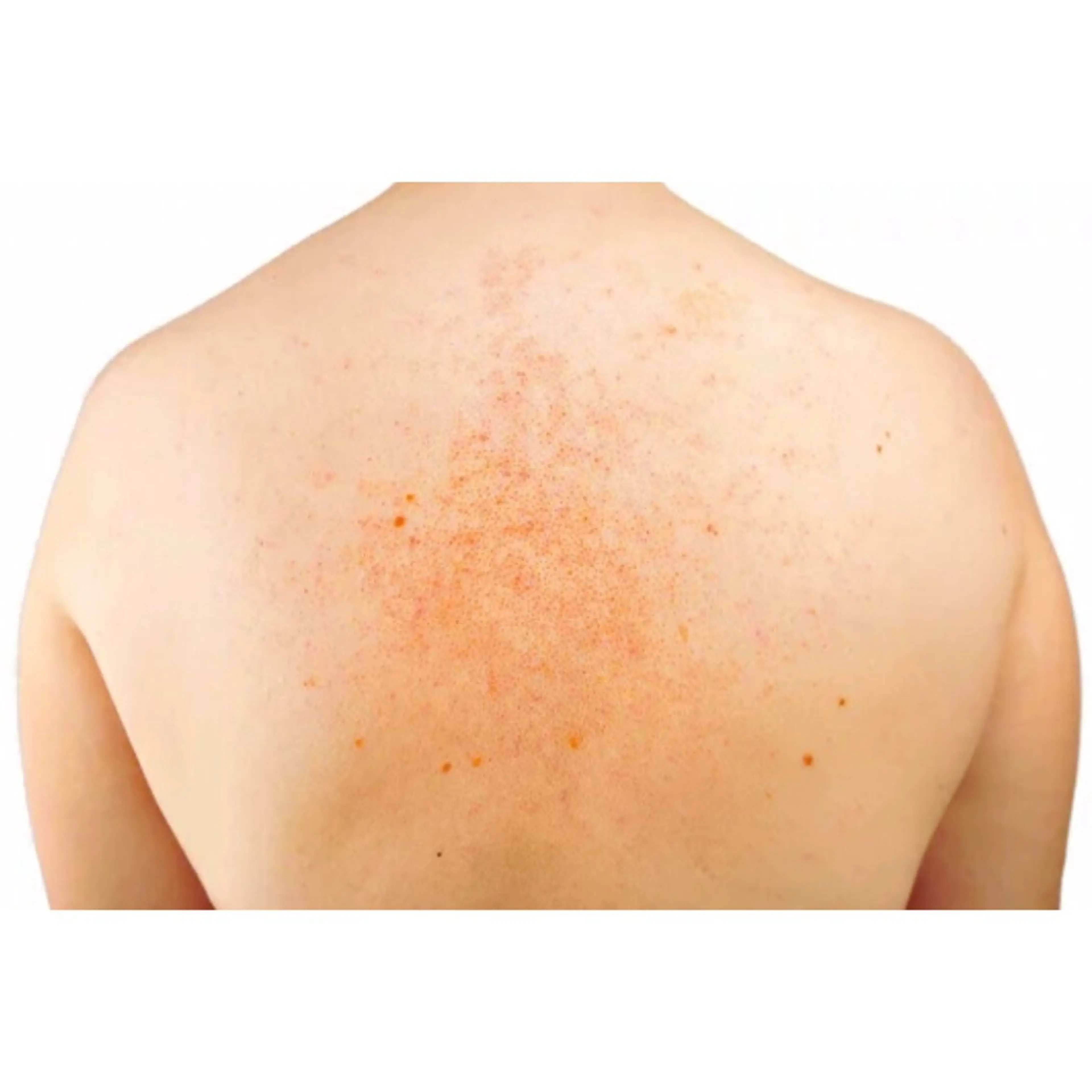 エステ サロンド エルのエステ・リラクイメージ