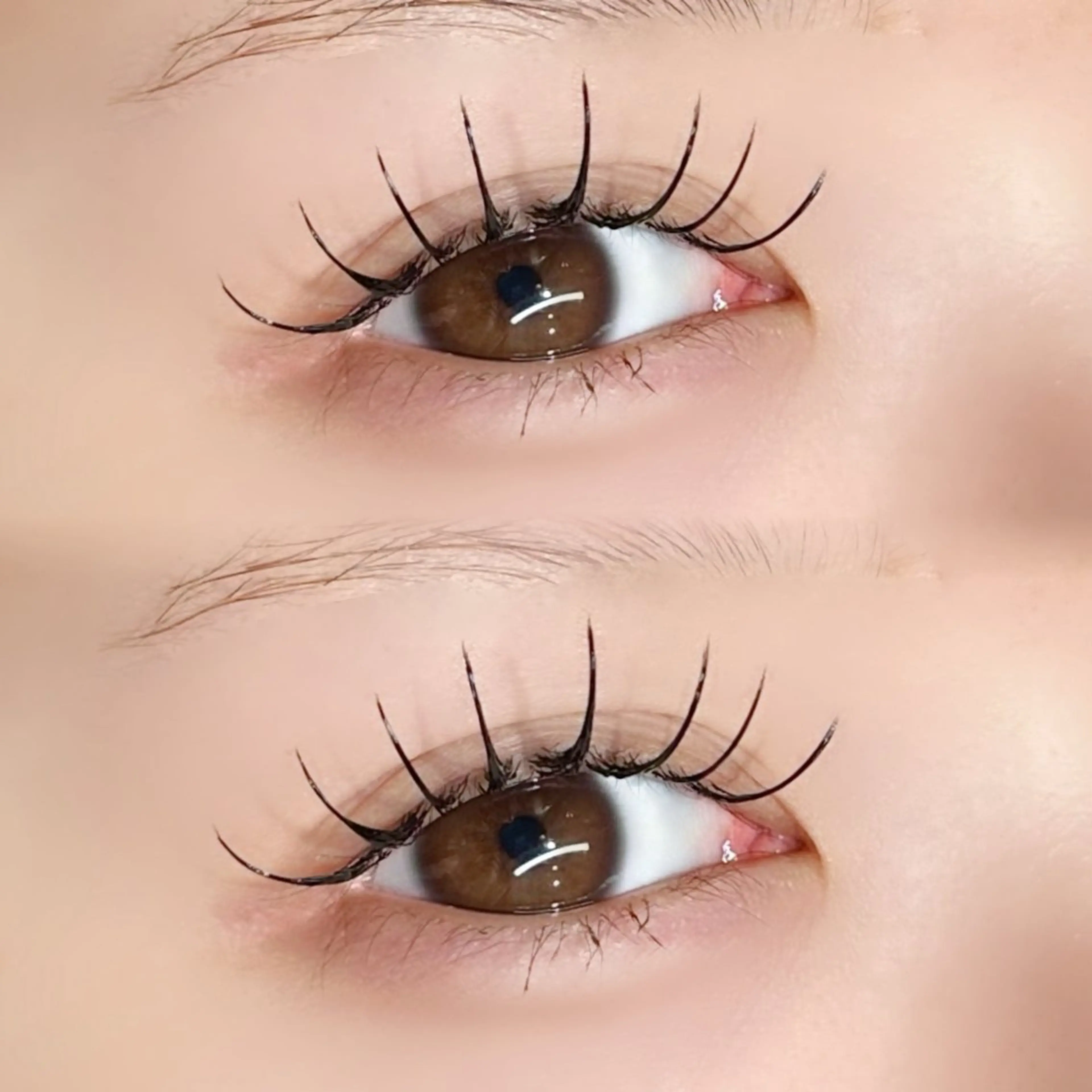 マツエク・マツパ マツエク EYELA熊本 YUIのマツエク・マツパデザイン