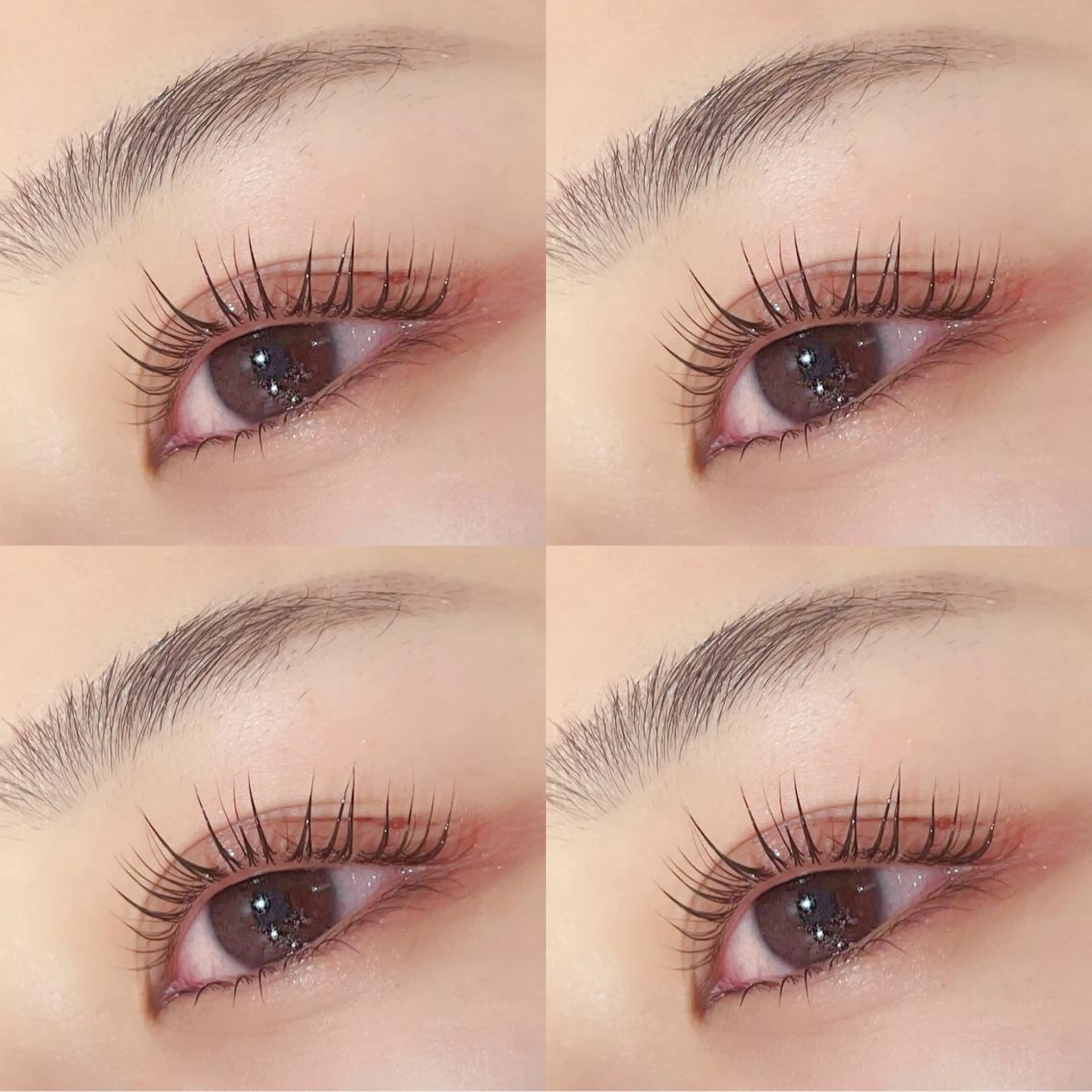 マツエク・マツパ Le Riad 栄 🦋坪内のマツエク・マツパデザイン