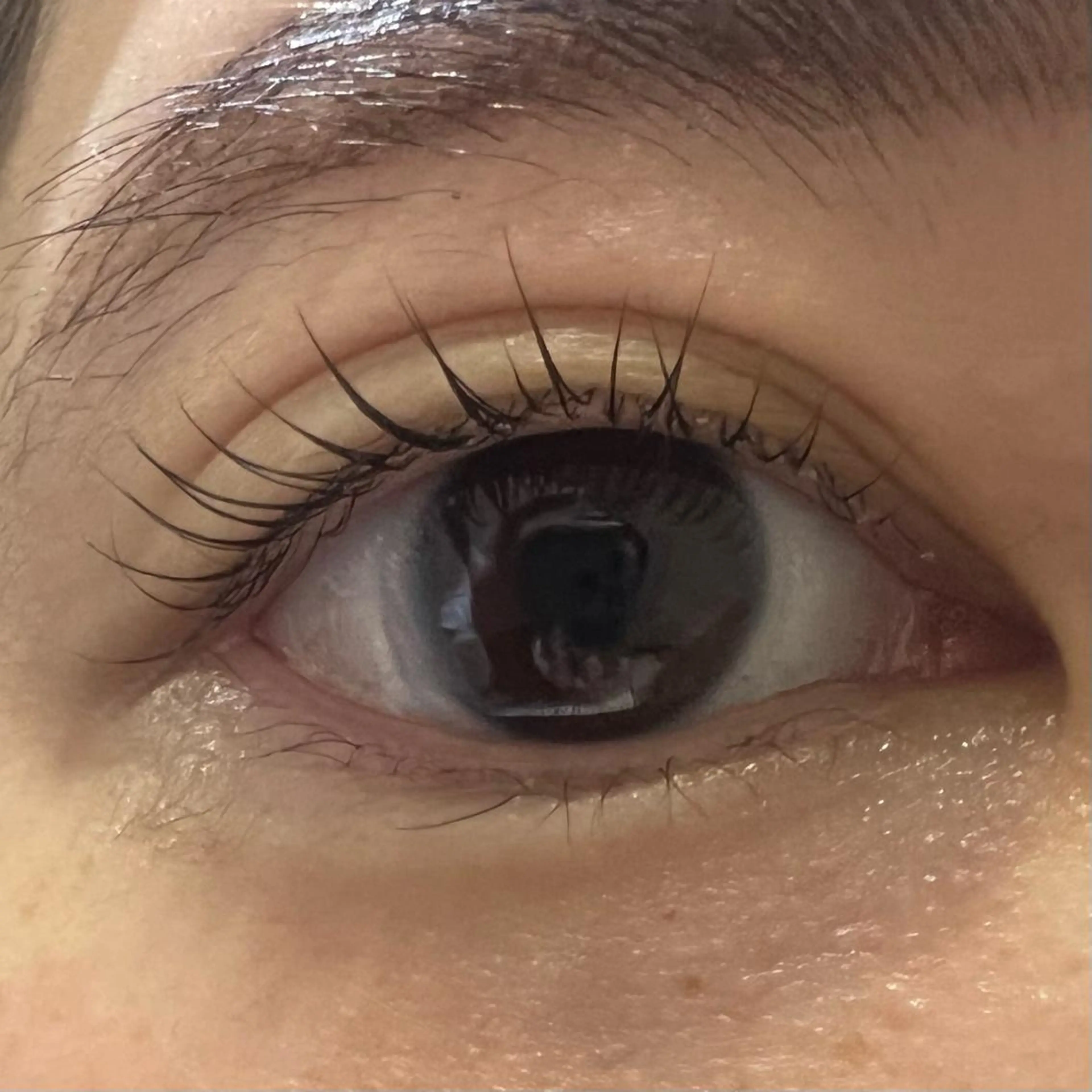 マツエク・マツパ miel中百舌鳥所属・miel yamaguchiの眉毛・アイブロウイメージ