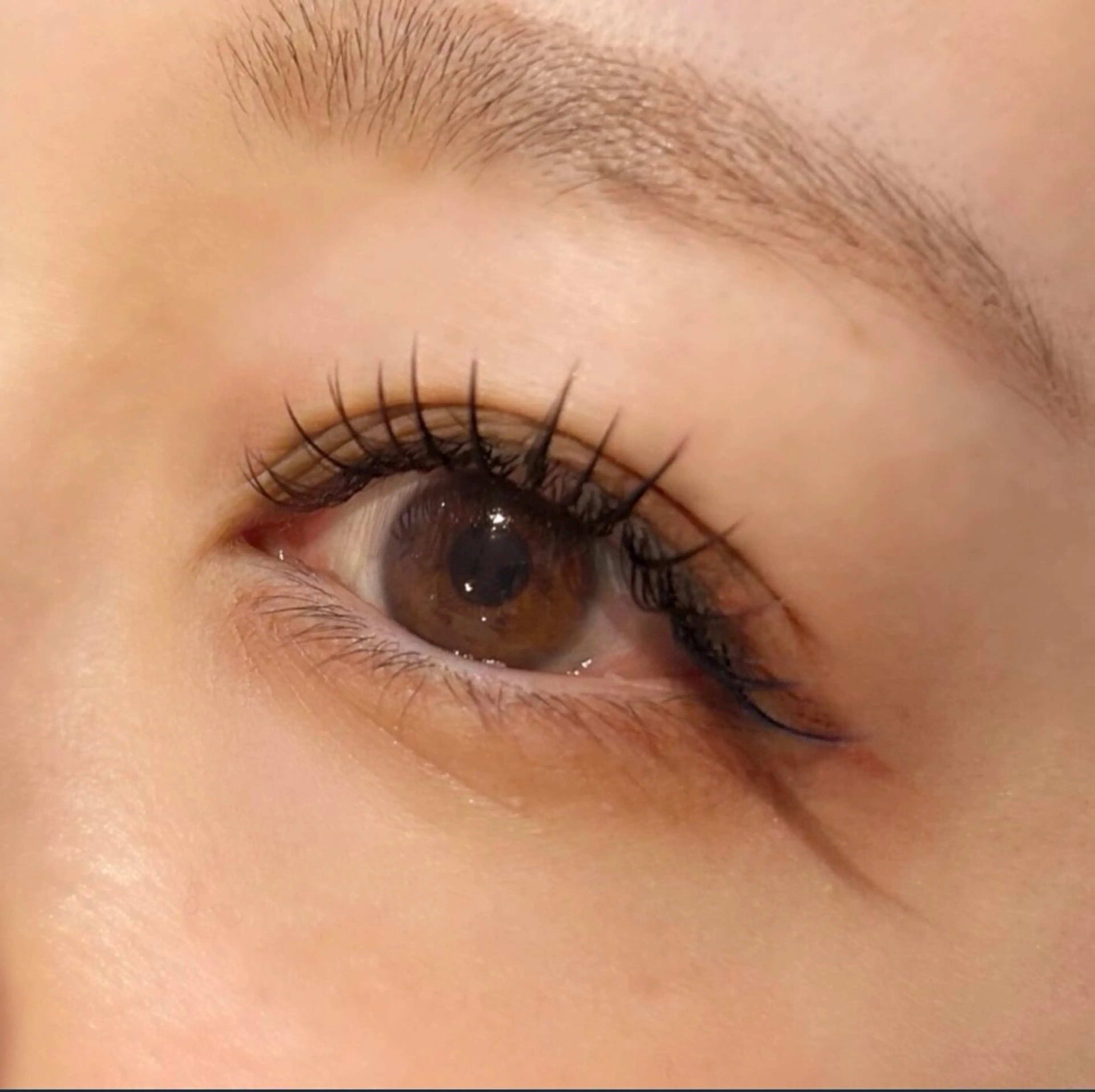 マツエク・マツパ sakura lily所属・✨7月限定クーポン✨ sakuralilyのマツエク・マツパデザイン