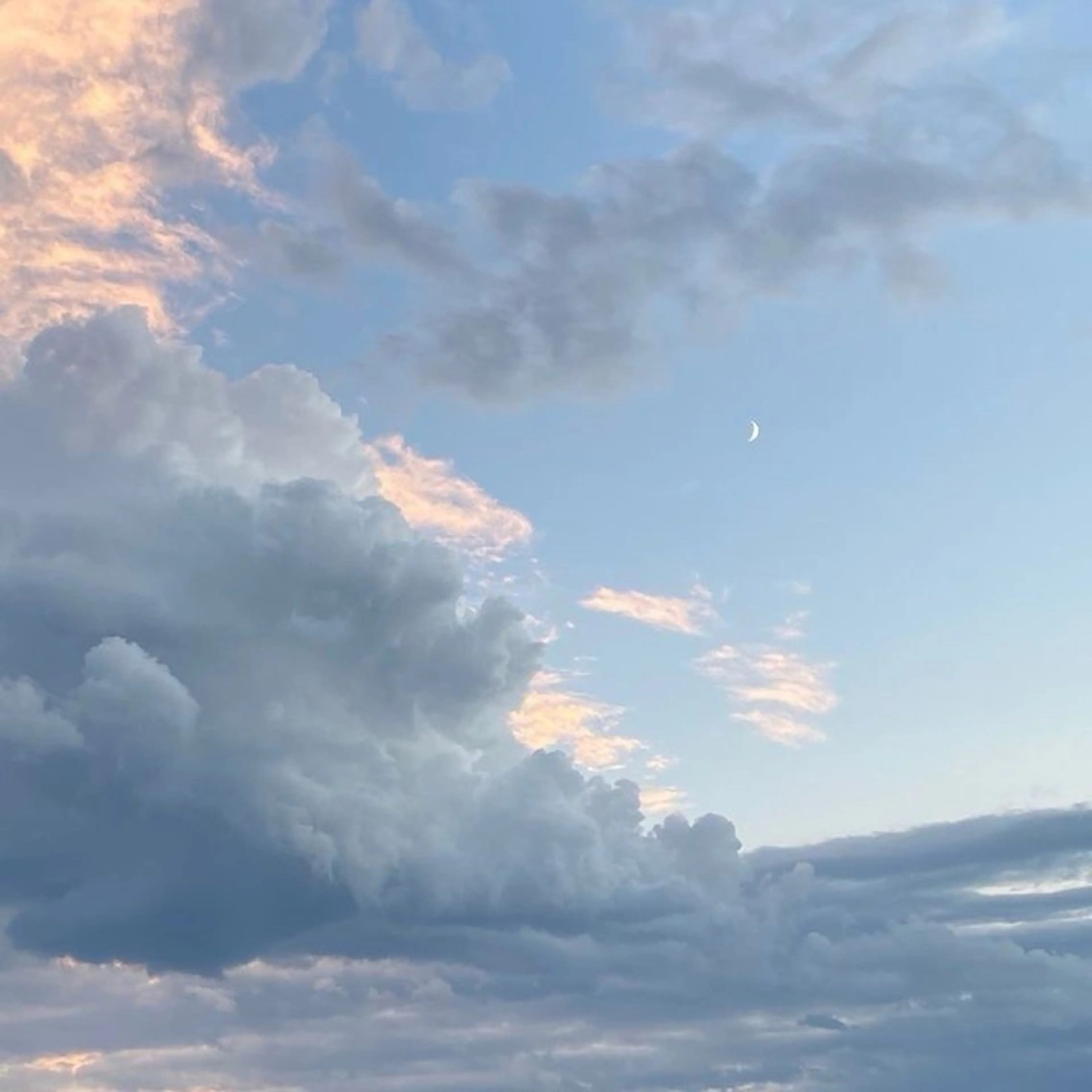 丸山 知夏のマツエク・マツパデザイン