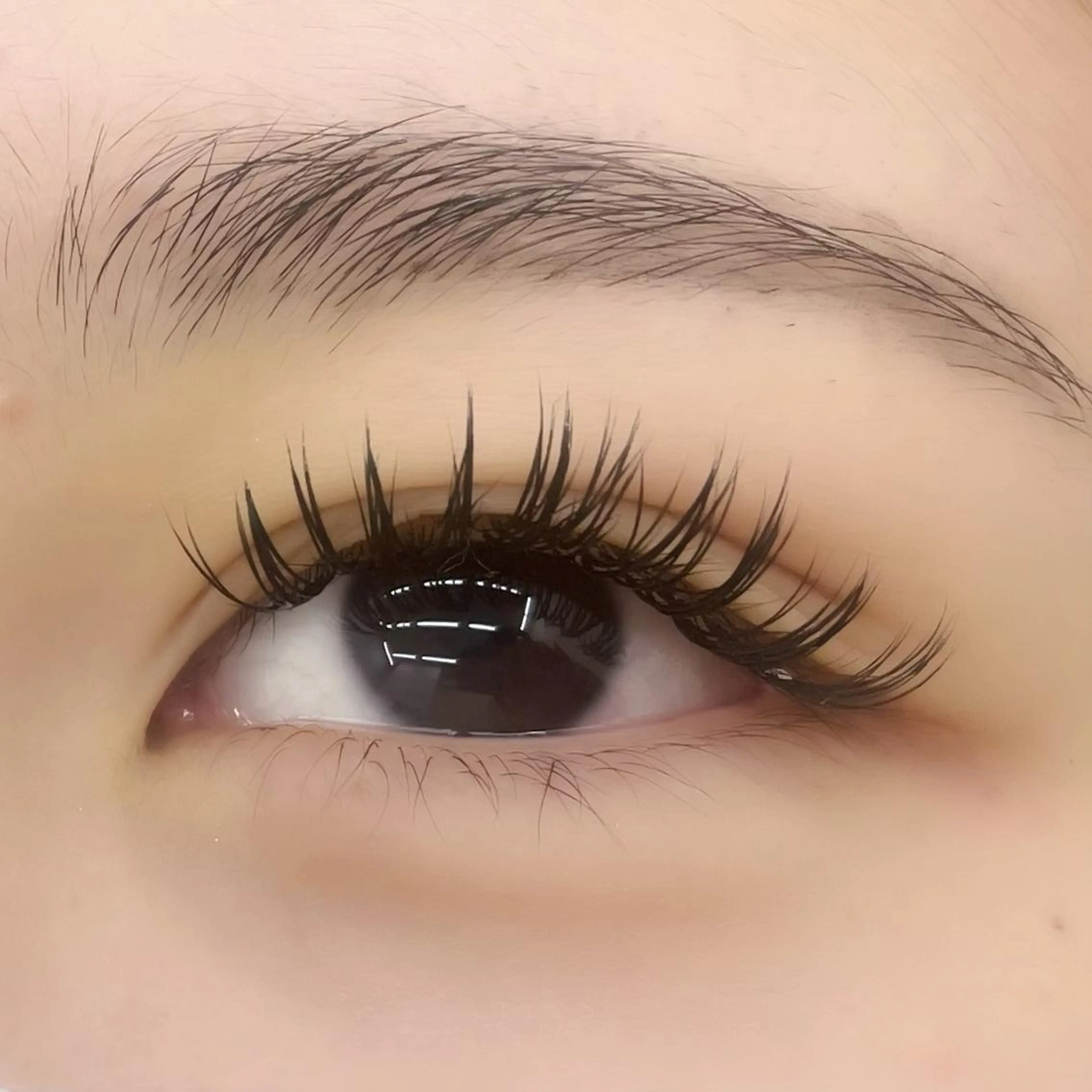 💜バインドロック💜〔100束〕/国分寺駅南口から徒歩1分 〔吉祥寺 三鷹 立川〕の写真