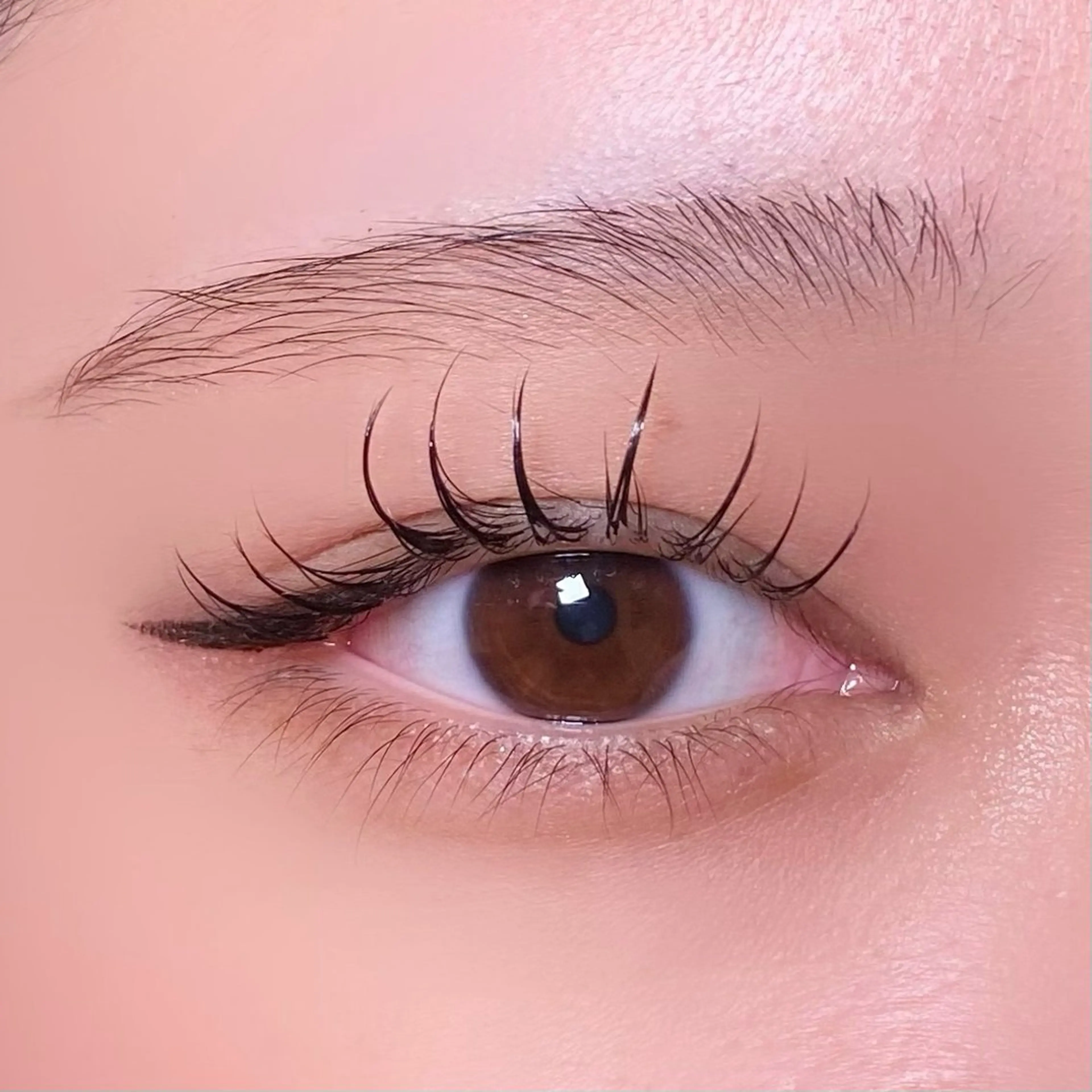 マツエク・マツパ セーブル Seek🎀 Aoiのマツエク・マツパデザイン