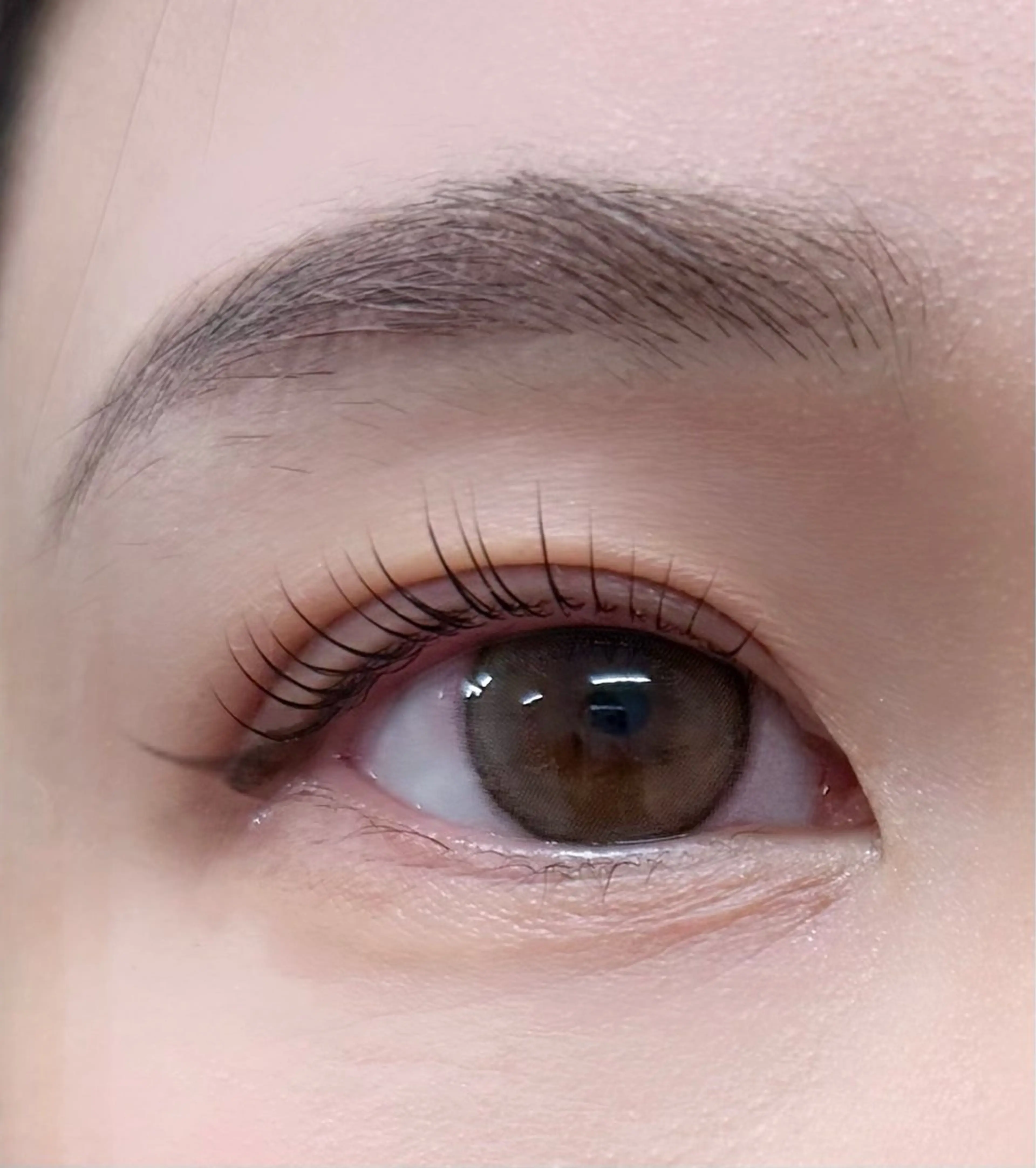 マツエク・マツパ Une fleur MEIの眉毛・アイブロウイメージ