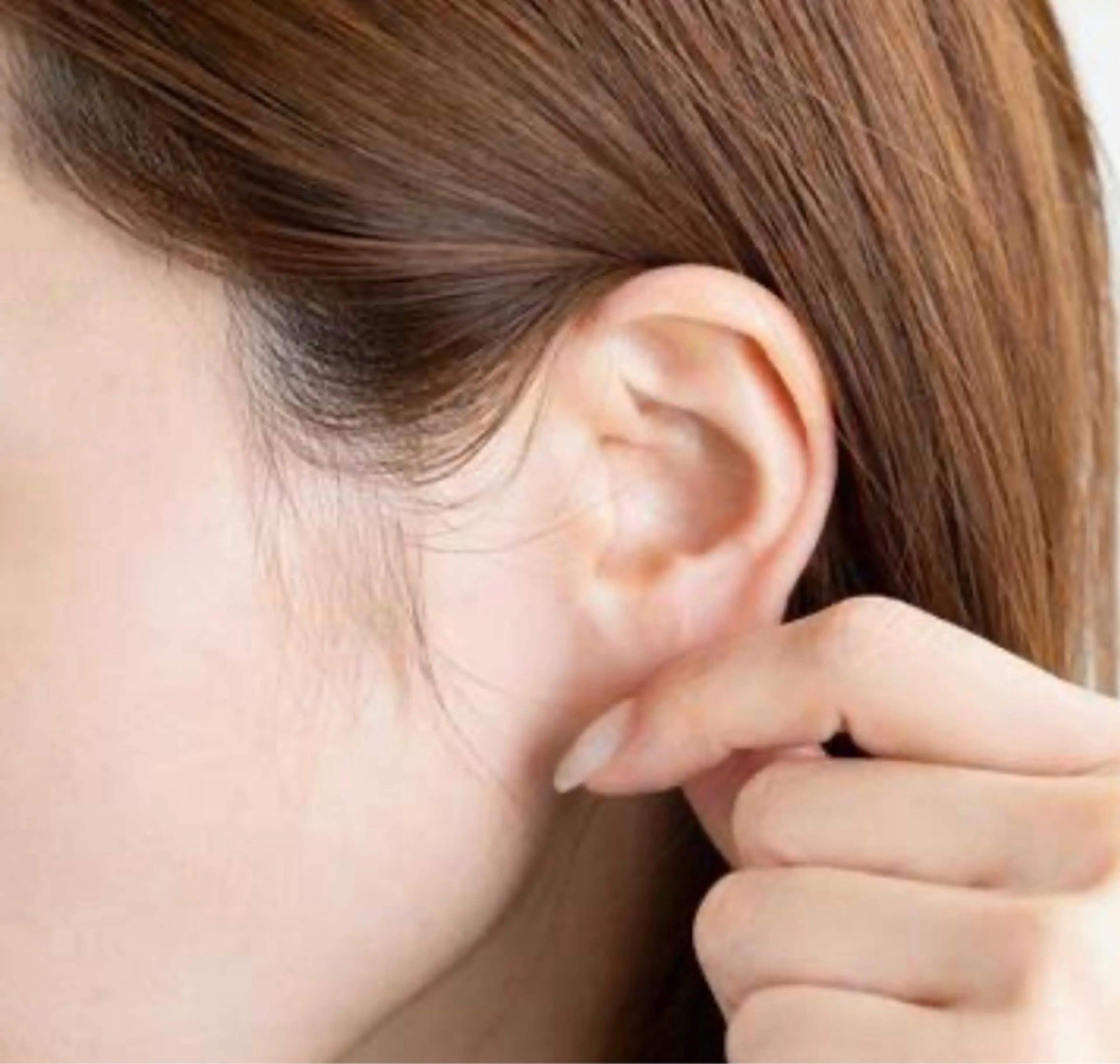 耳毛、鼻毛（各）の写真