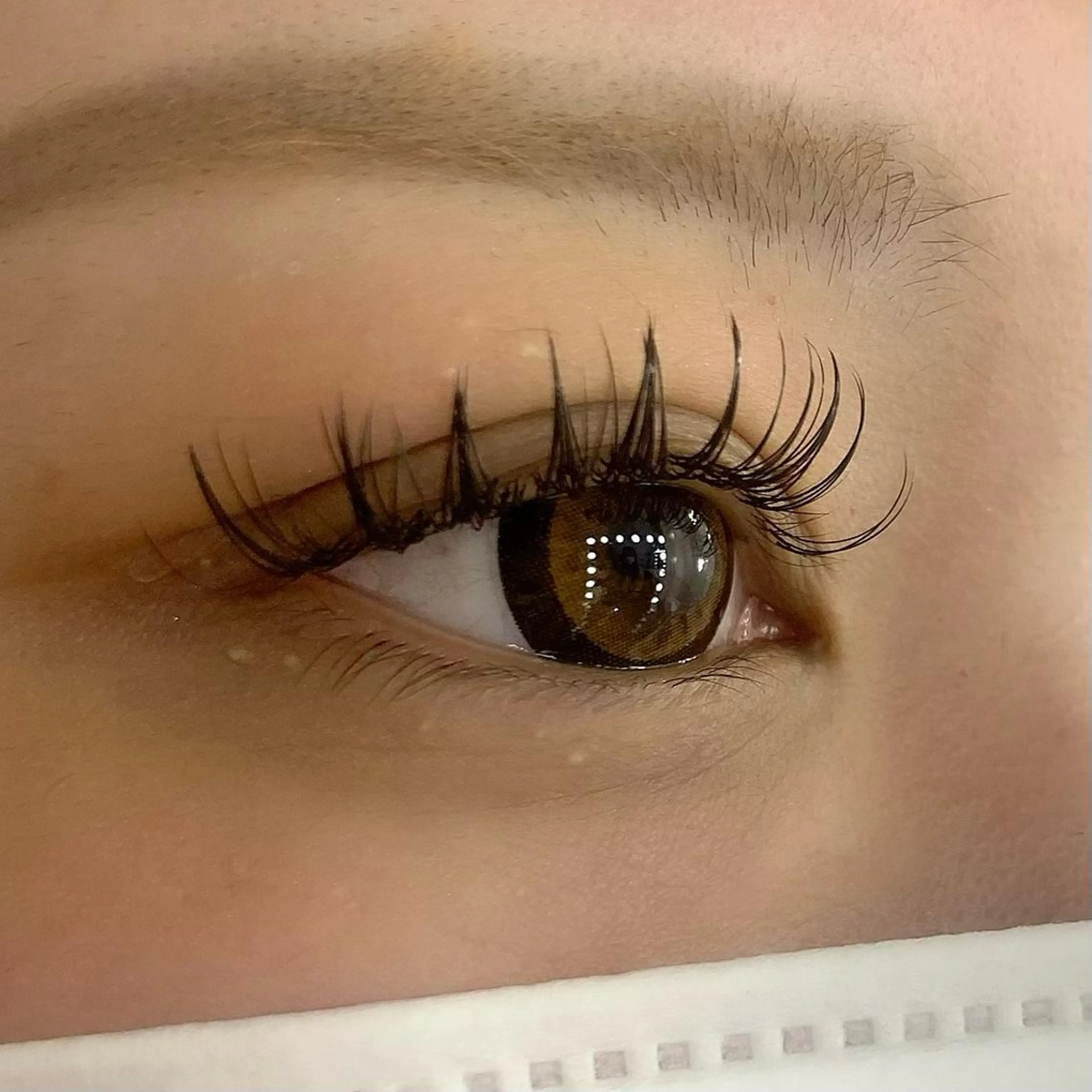 マツエク・マツパ 束感まつ毛 Celeste Venus所属・🧸Celeste Venusのマツエク・マツパデザイン