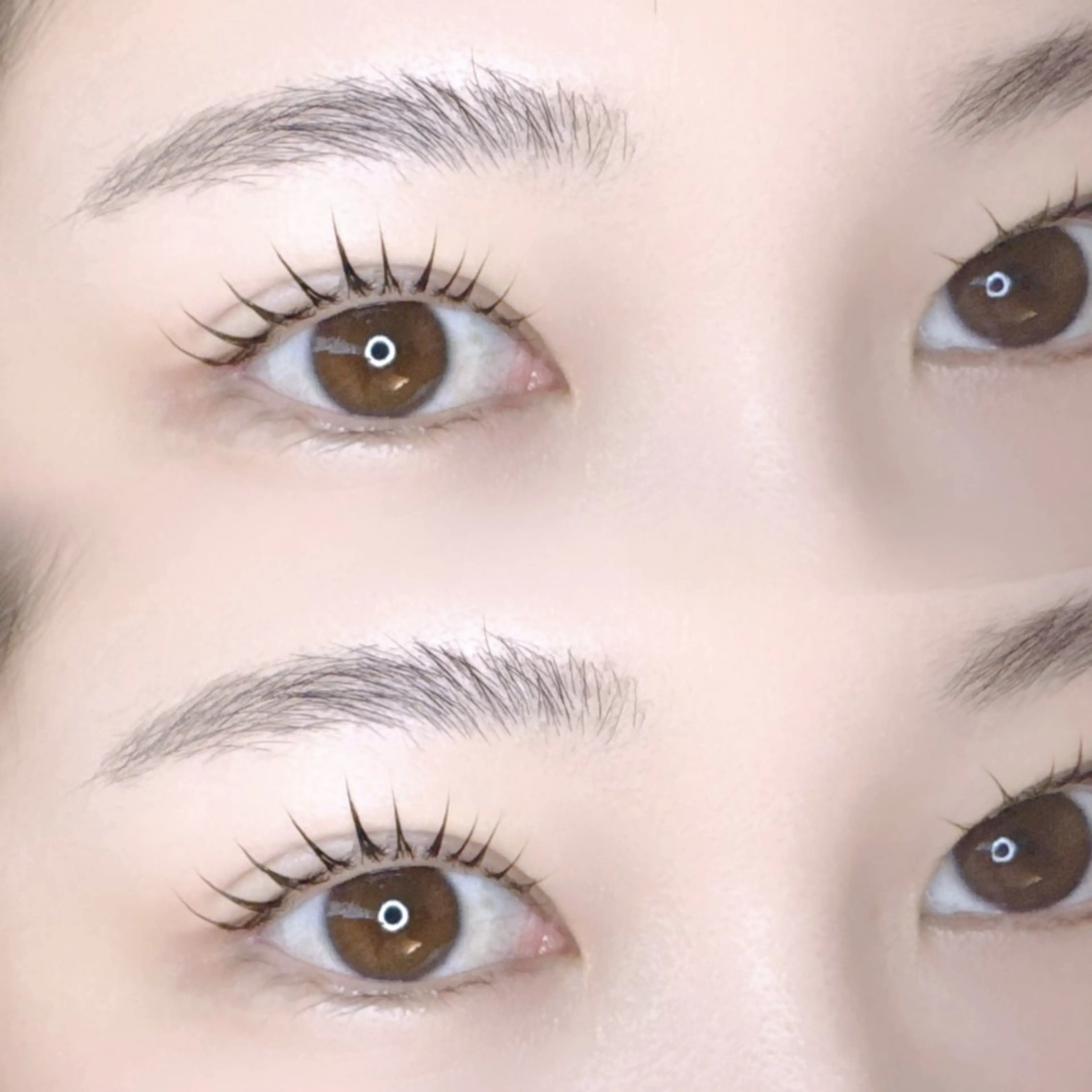 マツエク・マツパ マツパ Carat所属・Carat　南柏店 岸本のマツエク・マツパデザイン