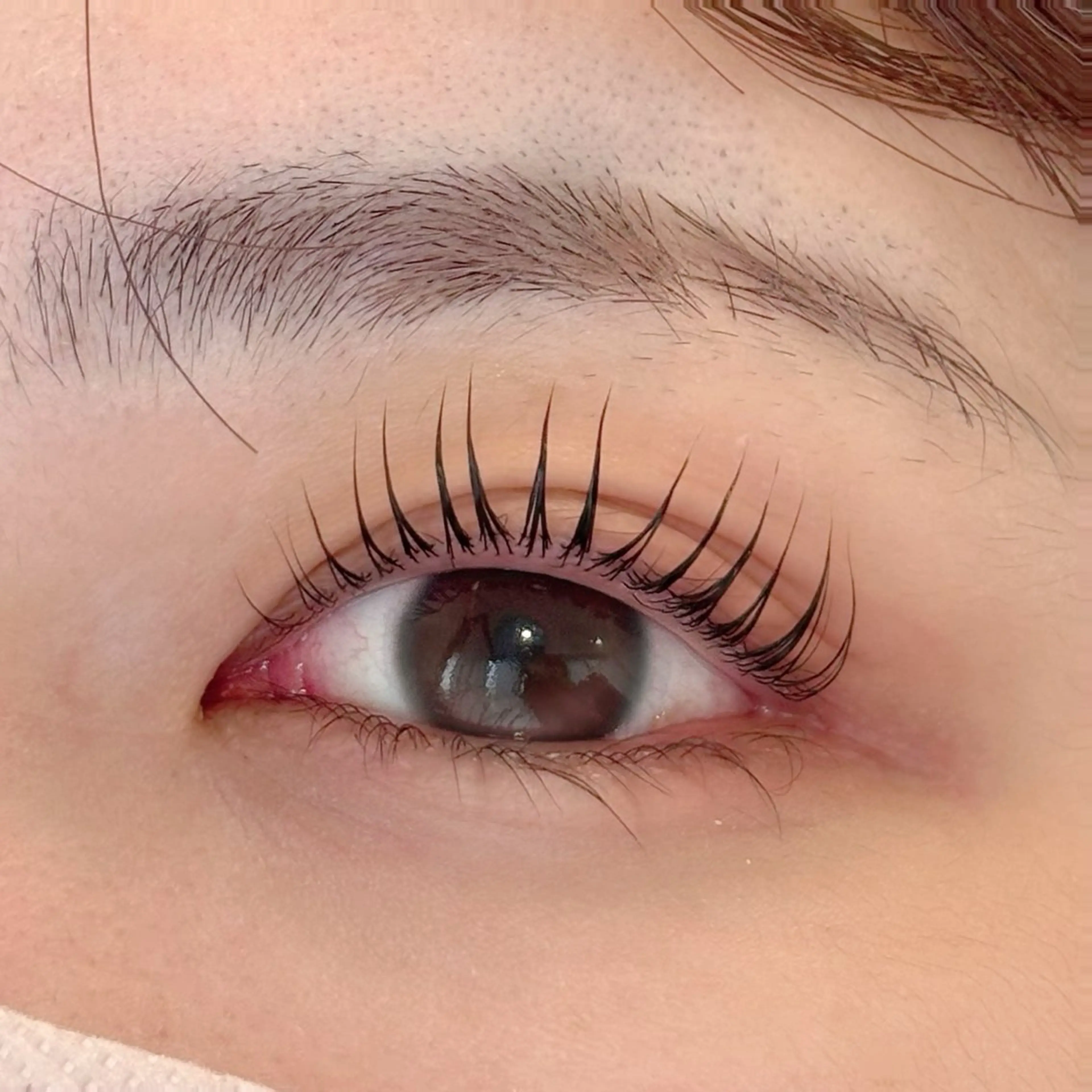 パリジェンヌラッシュリフト🥀の写真