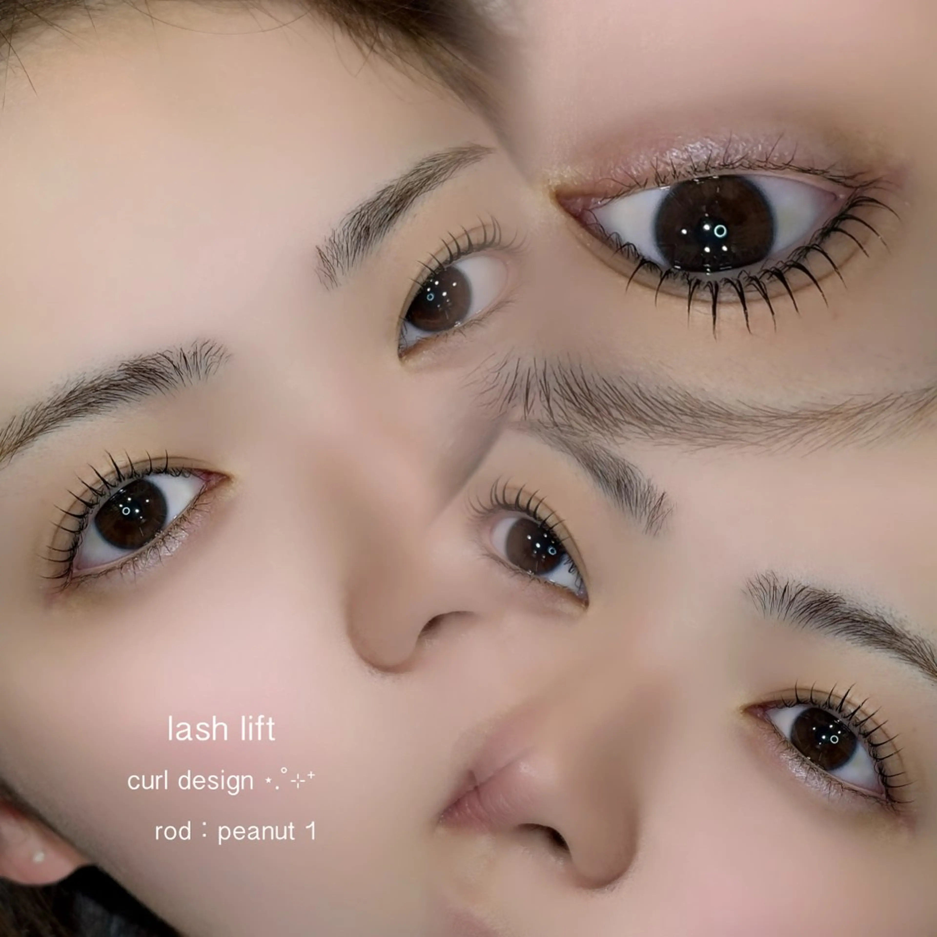 次世代まつ毛パーマ + ホームケア 🪄🧡( Lashaddict付き )の写真