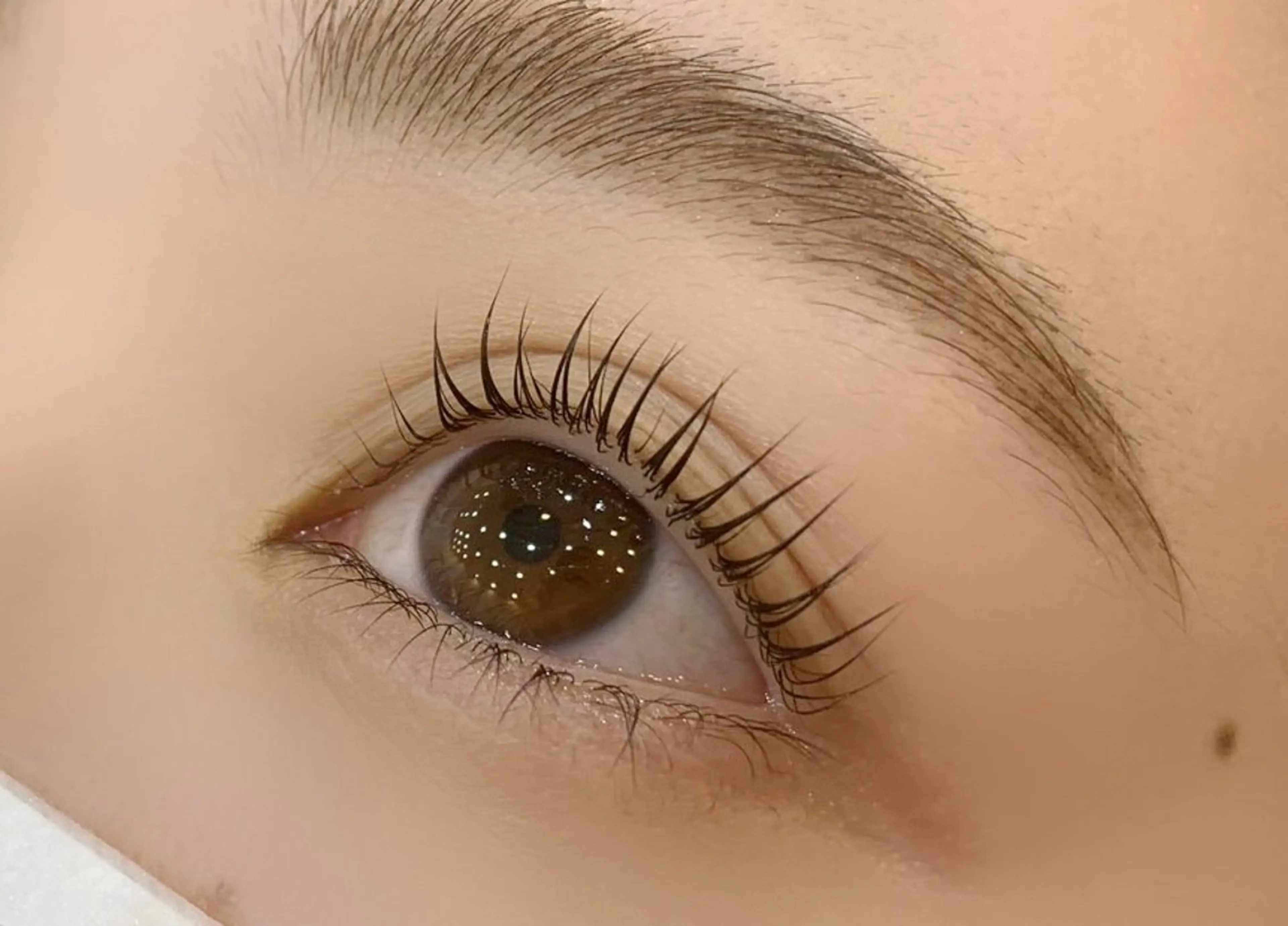 【minimo限定♡】まつ毛パーマ上➕アイブロウWAX¥8000🤍の写真