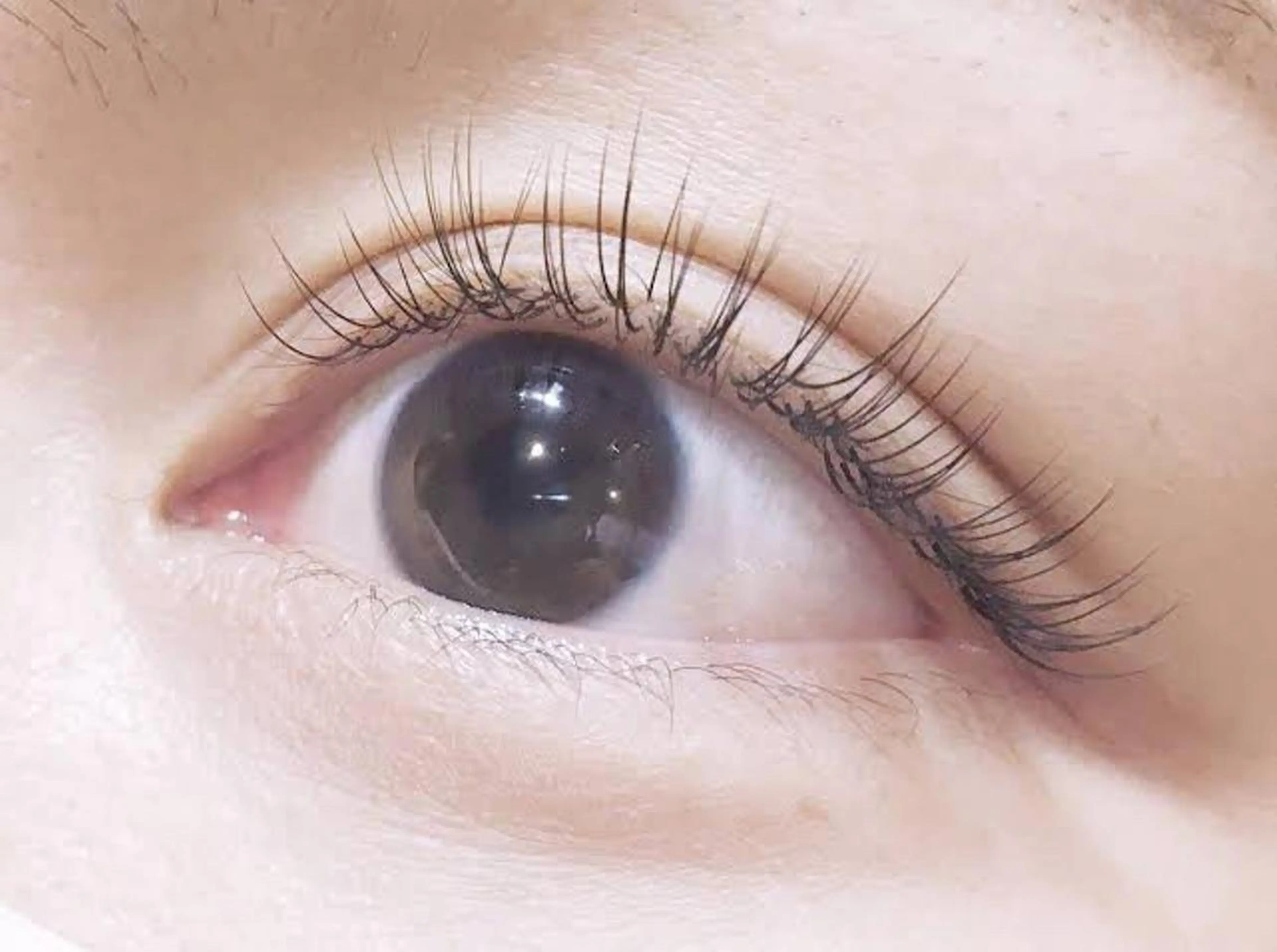 マツエク・マツパ マツエク EYELA所沢店 ayariのマツエク・マツパデザイン