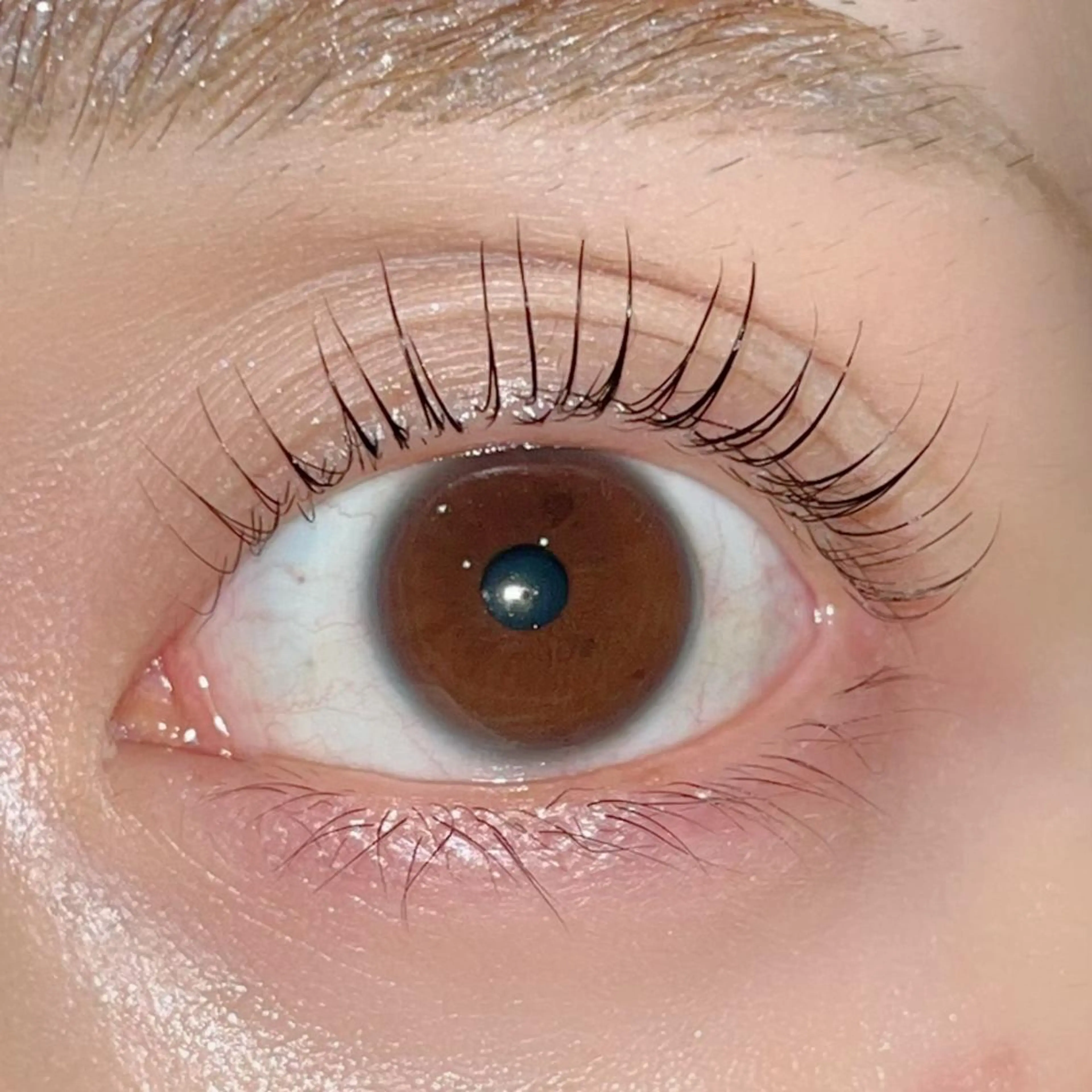 マツエク・マツパ パリジェンヌラッシュリフト まつげパーマ ai一重専門🎀束感 まつげ🫧表参道のマツエク・マツパデザイン