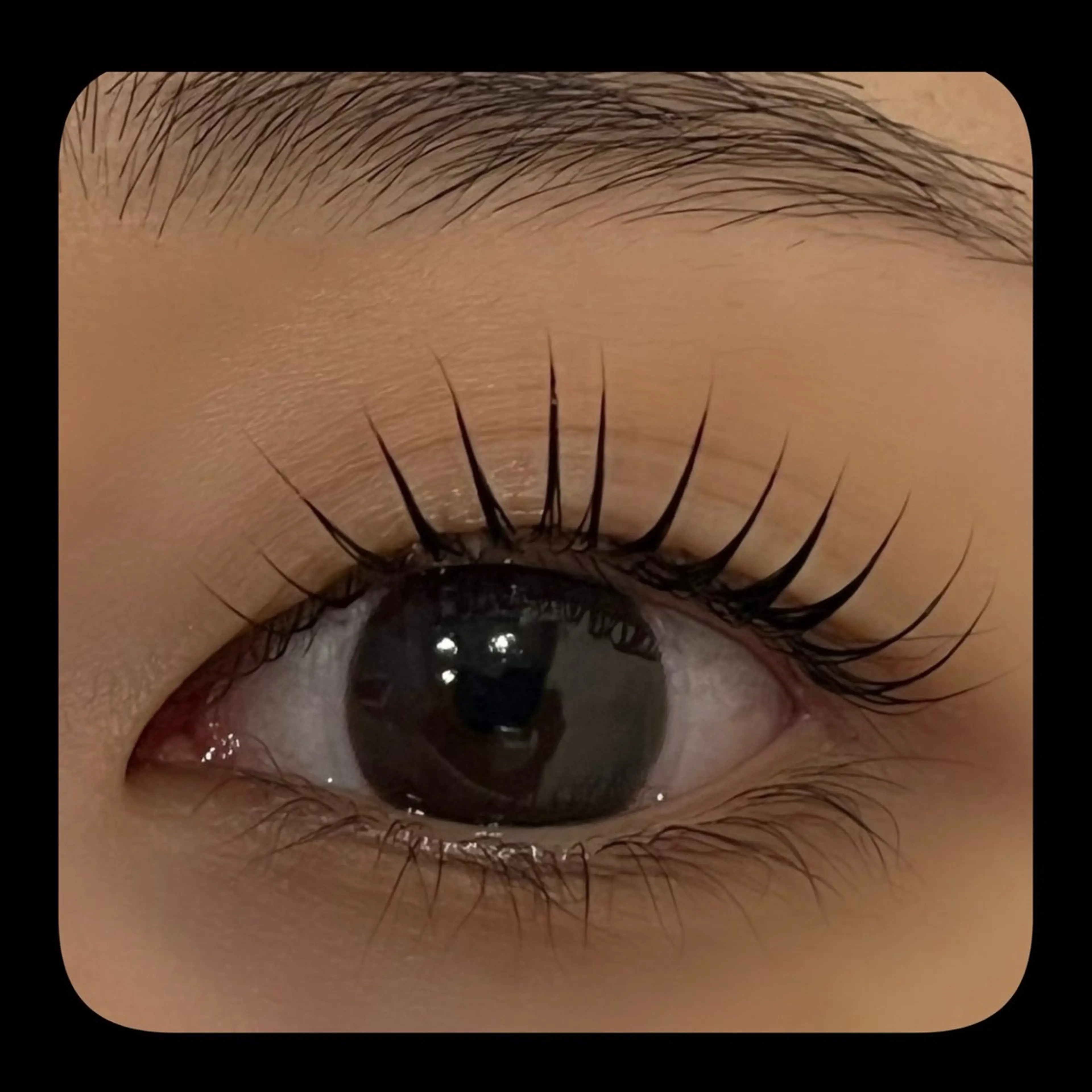 12/26限定‼️マツエク（セーブル）120本¥5500→¥3300（オフ無料）の写真