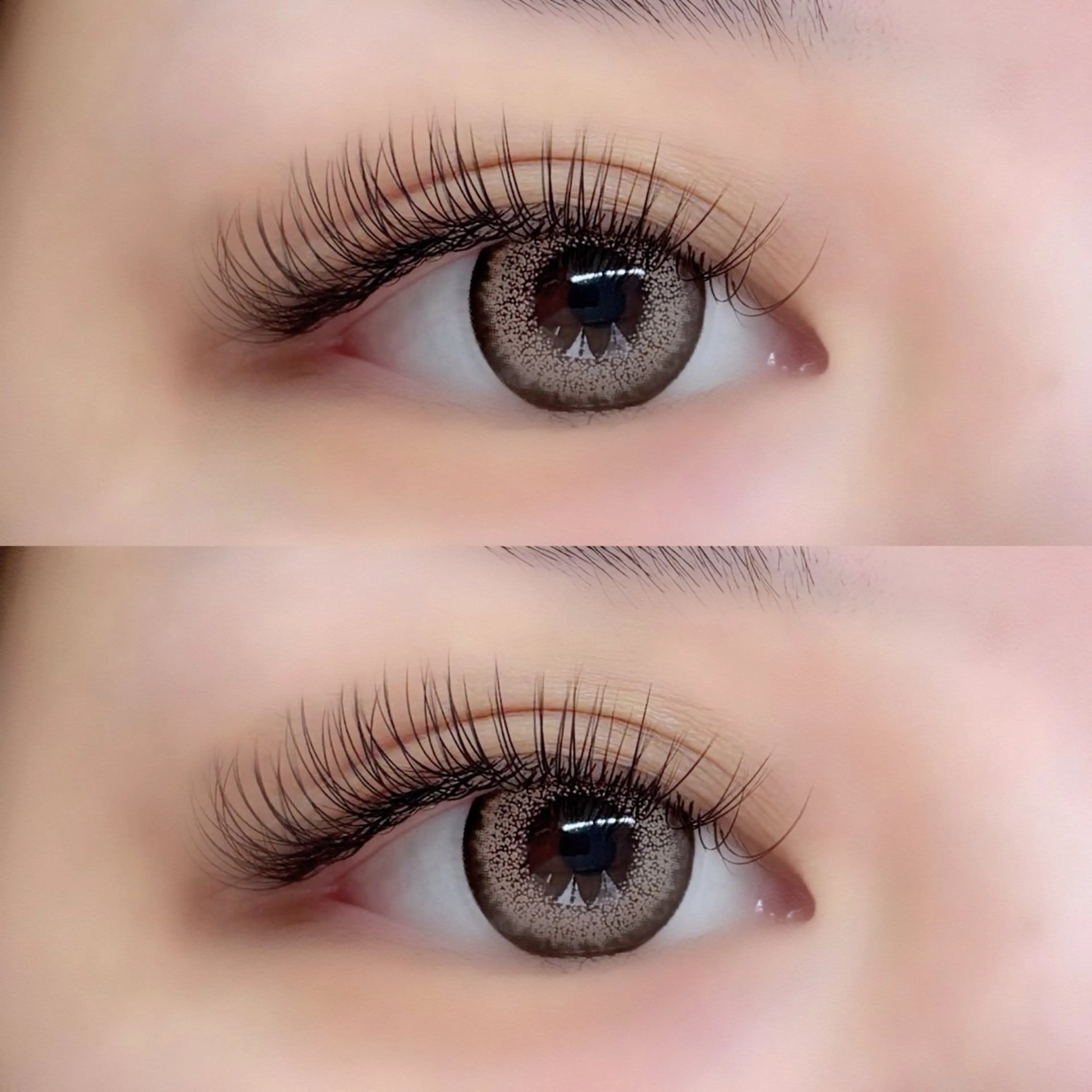 🍒バインドロック80束(オフ込)🍒無料モデル募集の写真