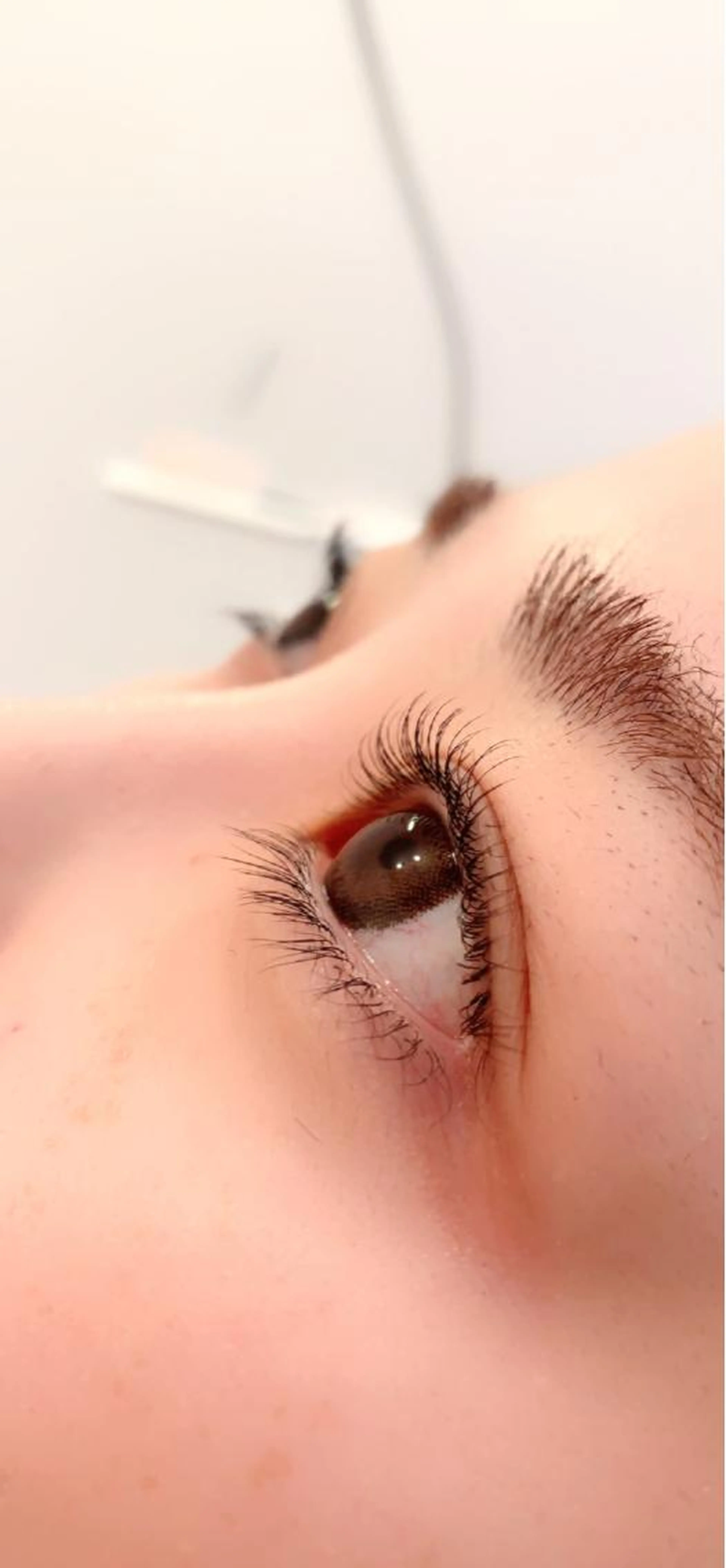 【上下パーマ】選べるまつ毛パーマ上下＋トリートメント成分配合＋美容液仕上げ¥5980✨🚨折返しご連絡で予約確定の写真