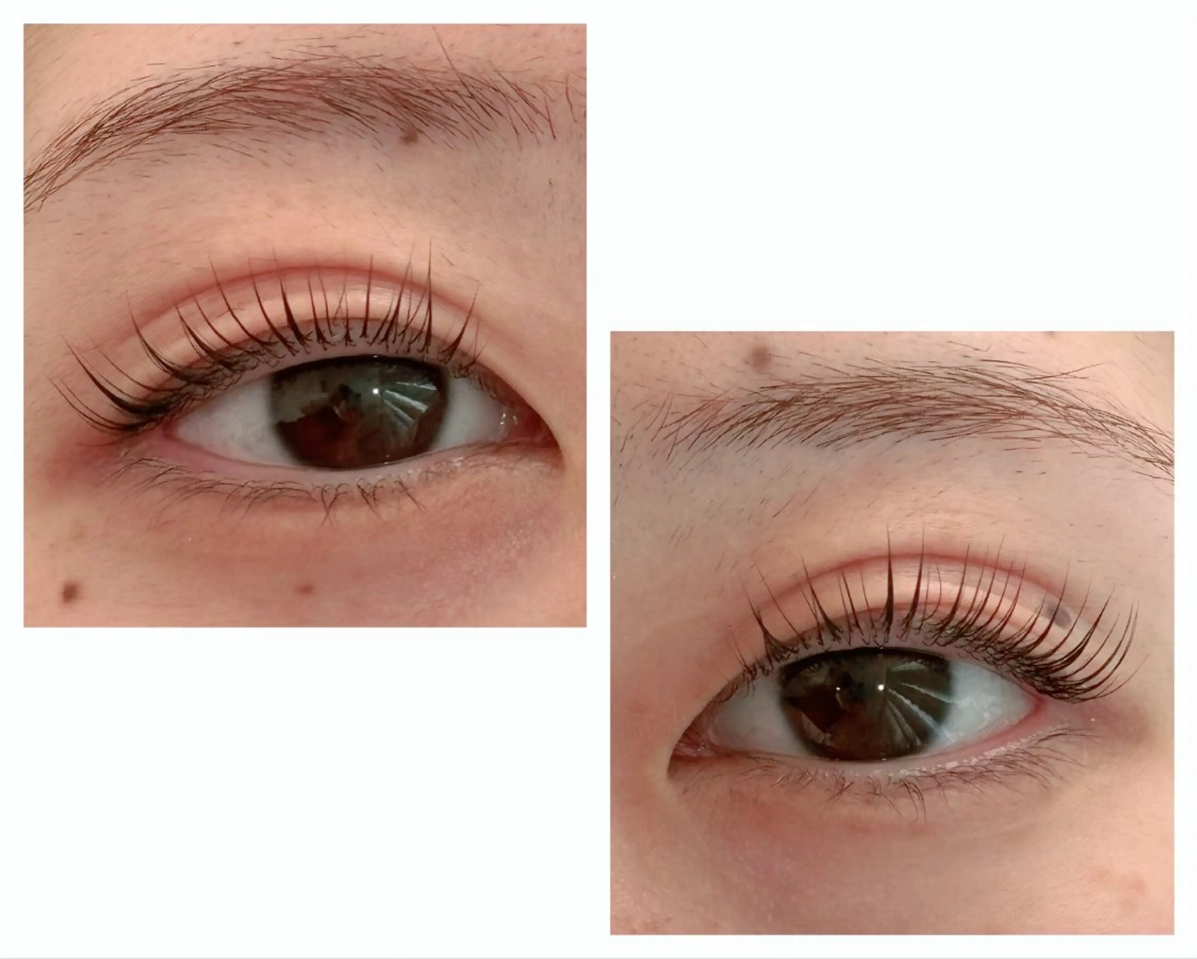 マツエク・マツパ マツパ Albicocco所属・Albicocco 《アルビコッコ》のマツエク・マツパデザイン