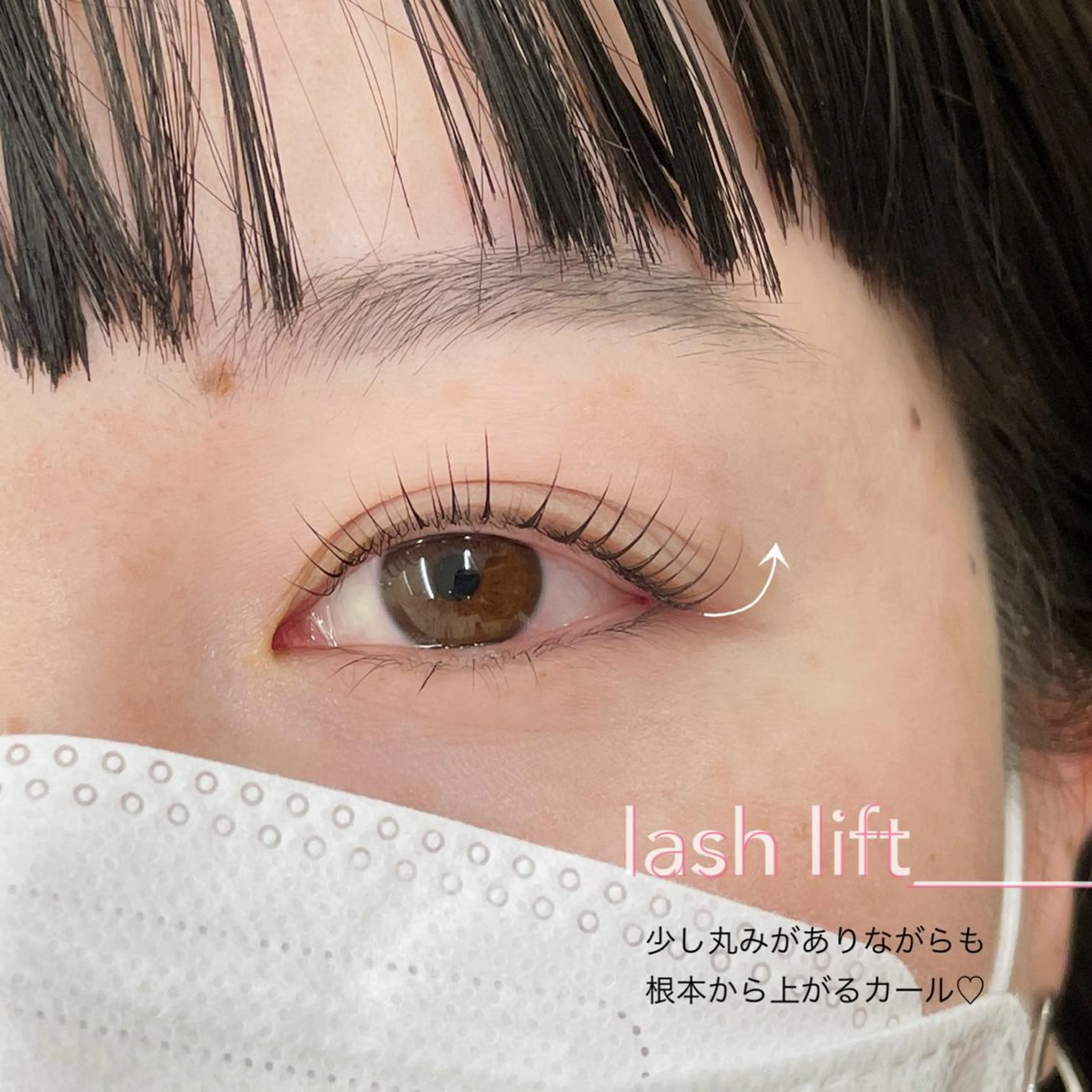 【新規or45日以内リピーター様】パリジェンヌ/まつ毛パーマ💎選べるカールの写真