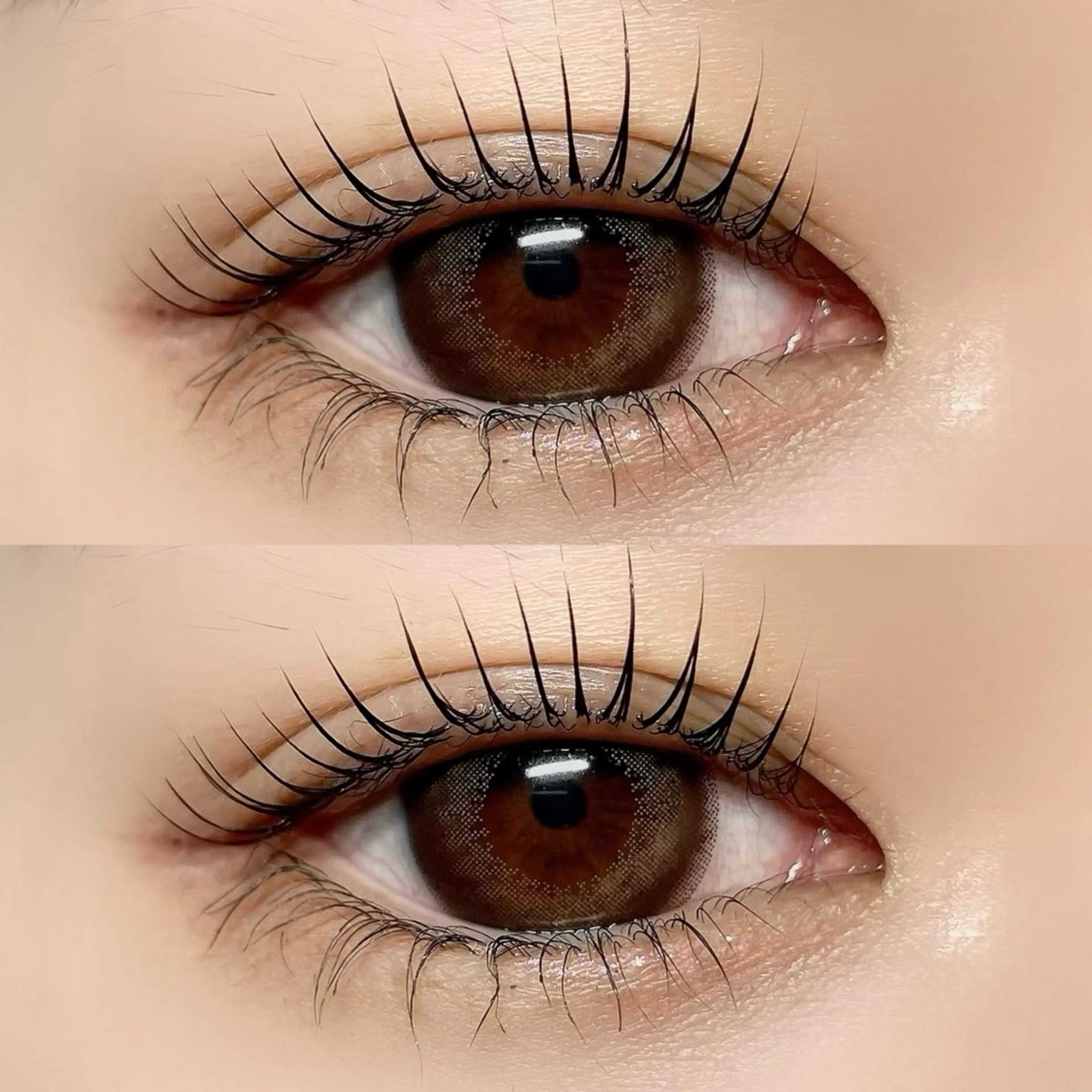 【今だけ限定価格✨✨】パリジェンヌラッシュリフト🤍根本からしっかり立ち上げパッチリお目元に🫧の写真