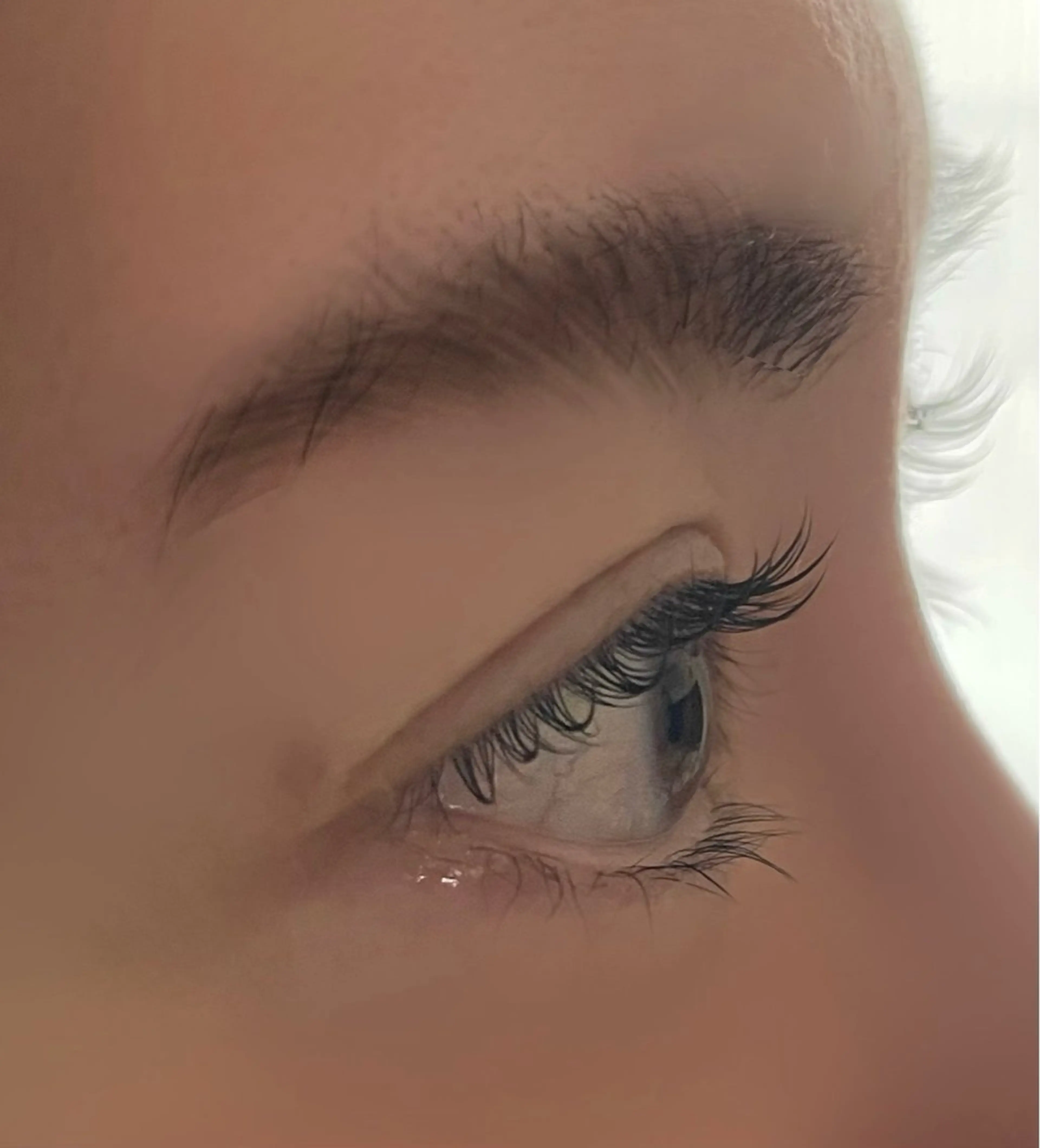 (無料)上まつげパーマの写真