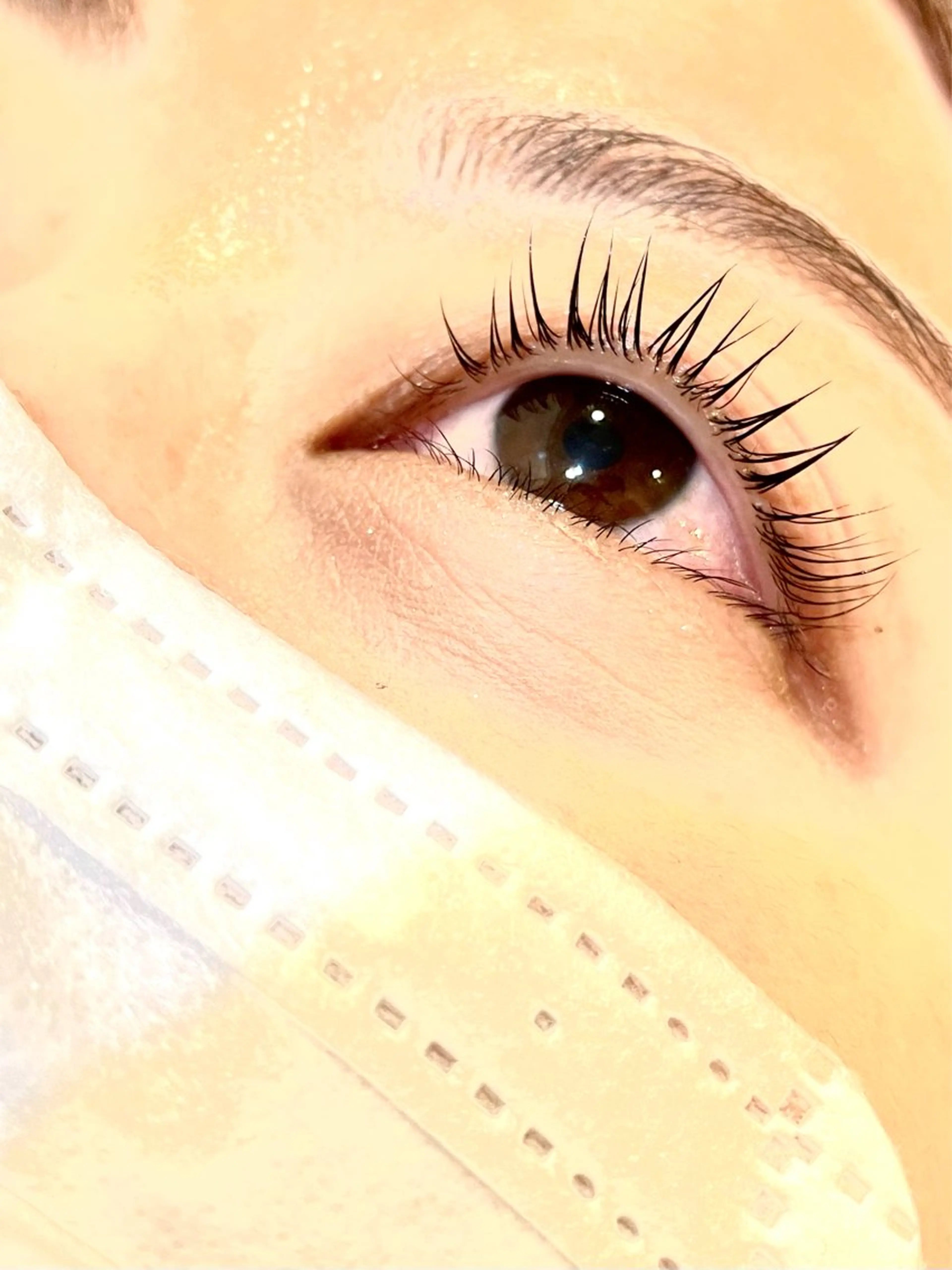 マツエク・マツパ パリジェンヌラッシュリフト beauce eyelash所属・Beauce / 無料モデル募集のマツエク・マツパデザイン