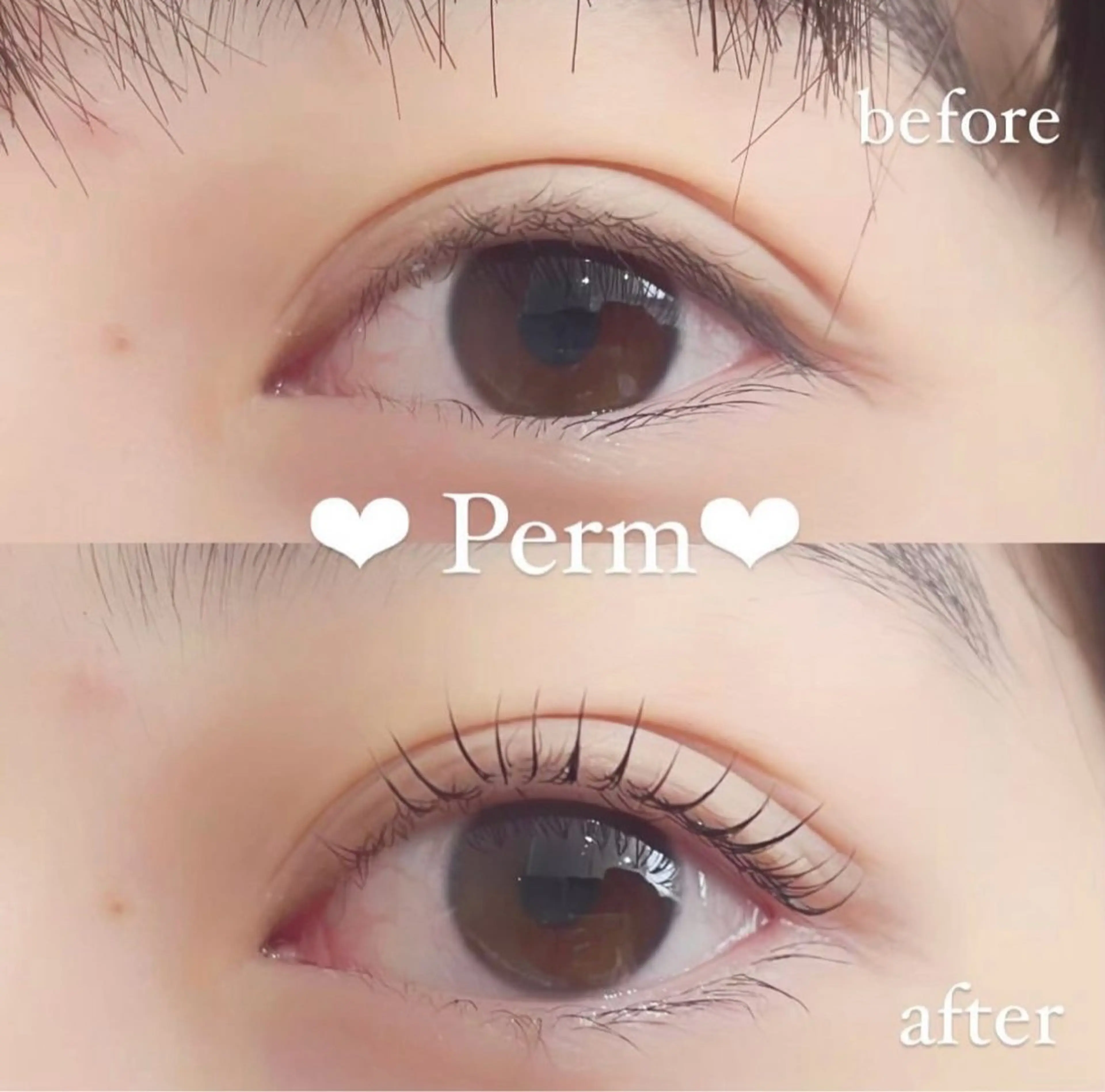 マツエク・マツパ マツパ LOLO 🍒 maho 🍒のマツエク・マツパデザイン