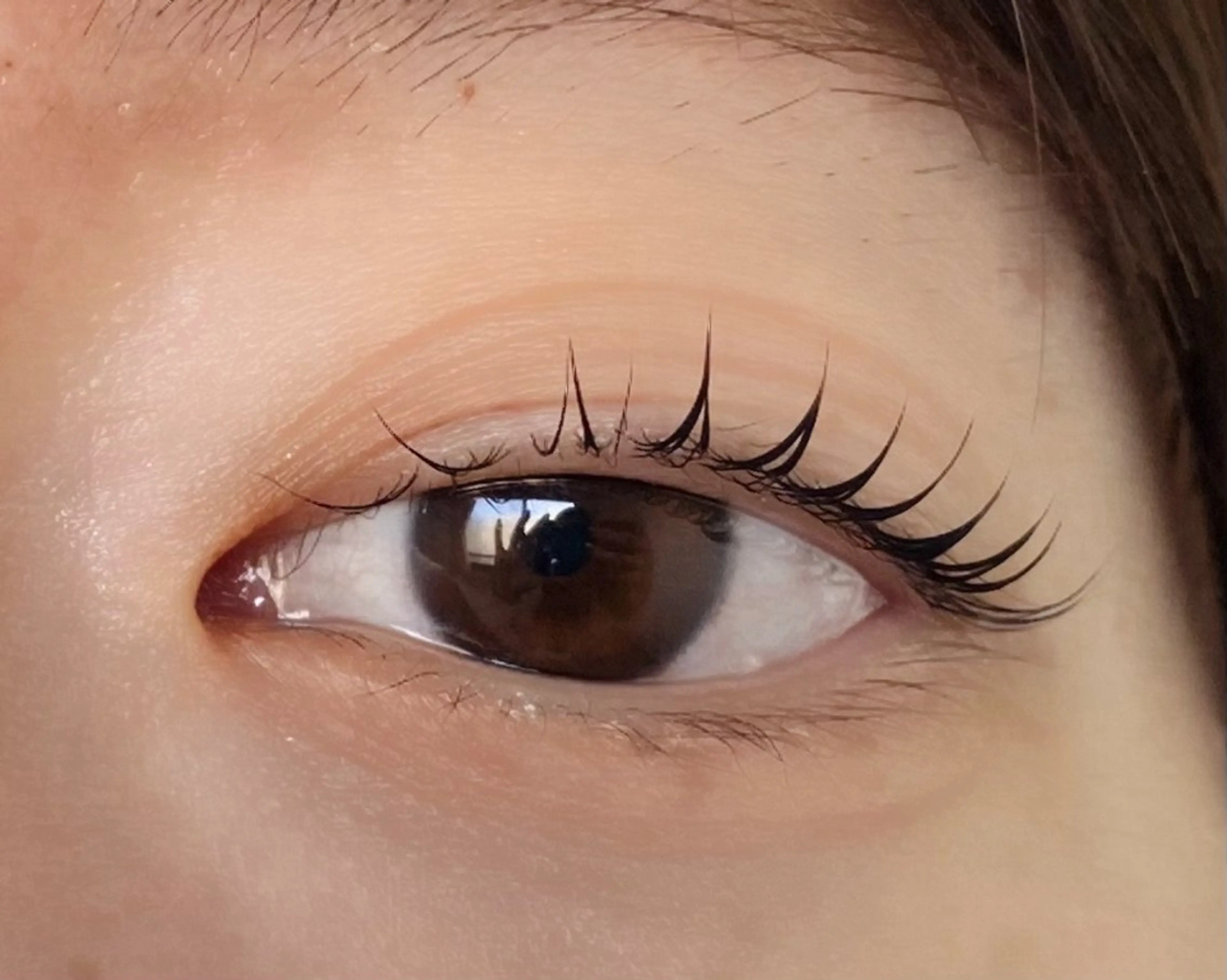 マツエク・マツパ magi 宇都宮店 本多まほ🌼の眉毛・アイブロウイメージ