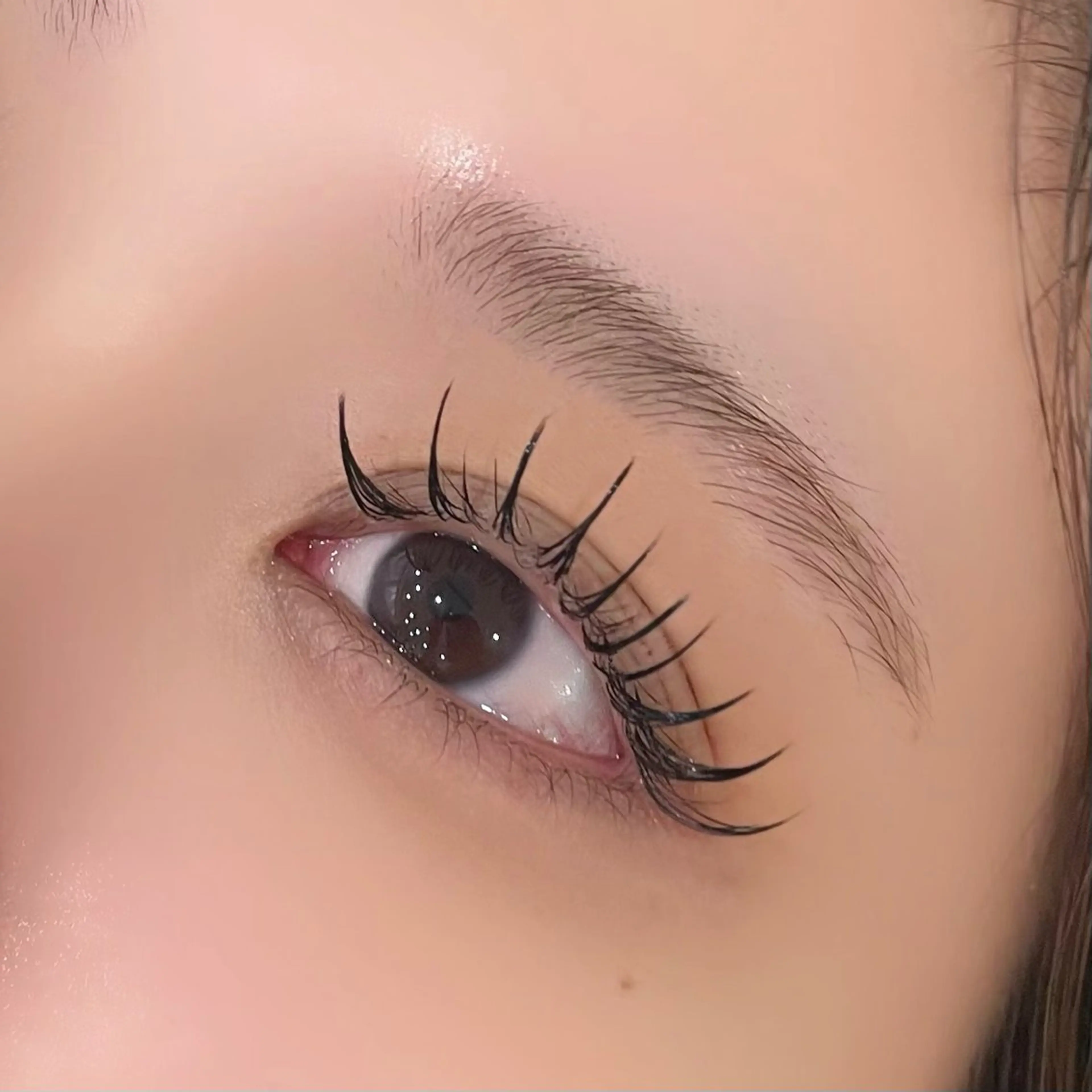 モデル料金🍀マツエク140本12/15.16限定‼️ 12:00-16:00ご希望のお時間ご記入下さい🙂‍↕️の写真