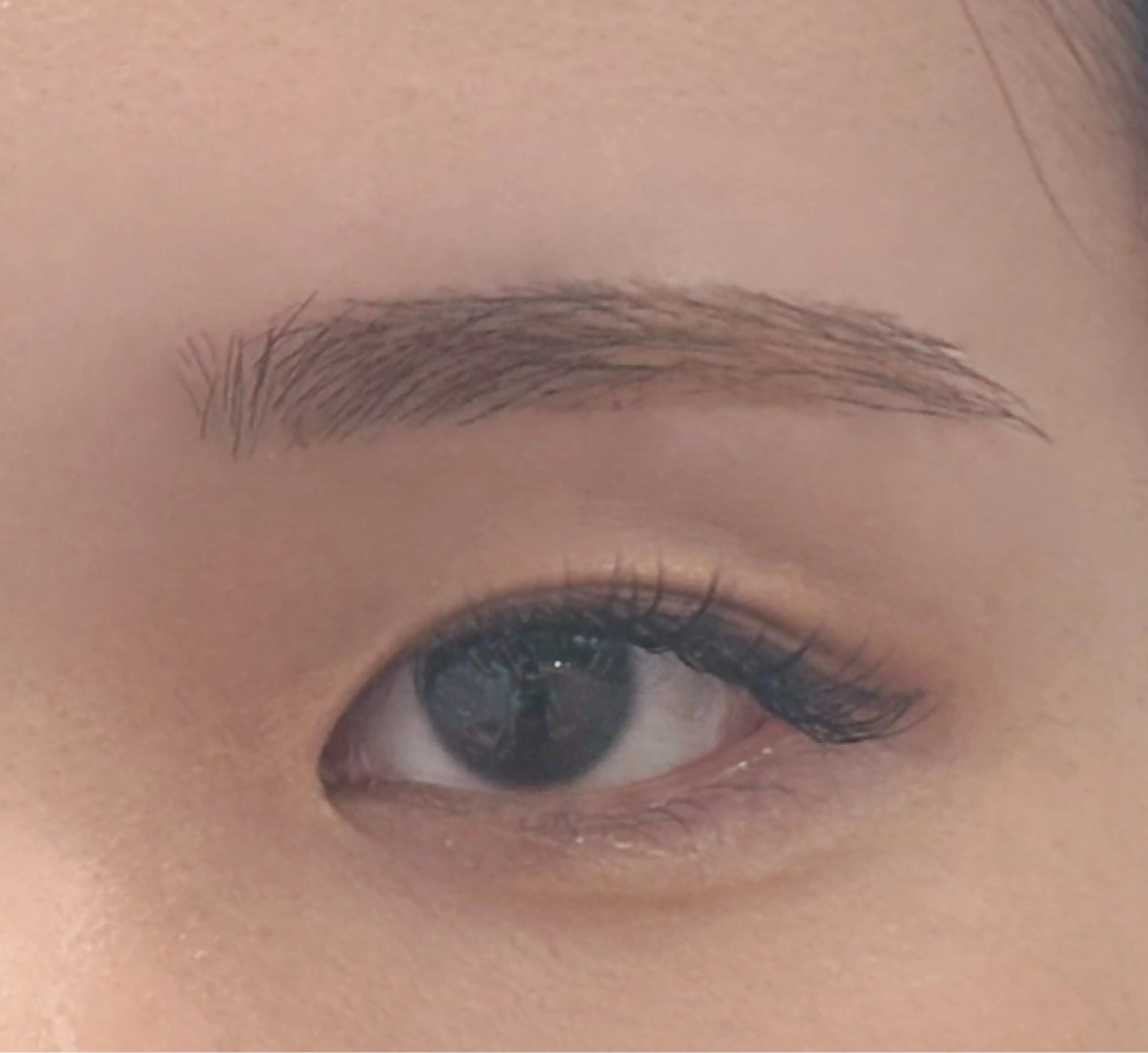 9/29限定♡眉毛Wax脱毛モデルさん💕の写真