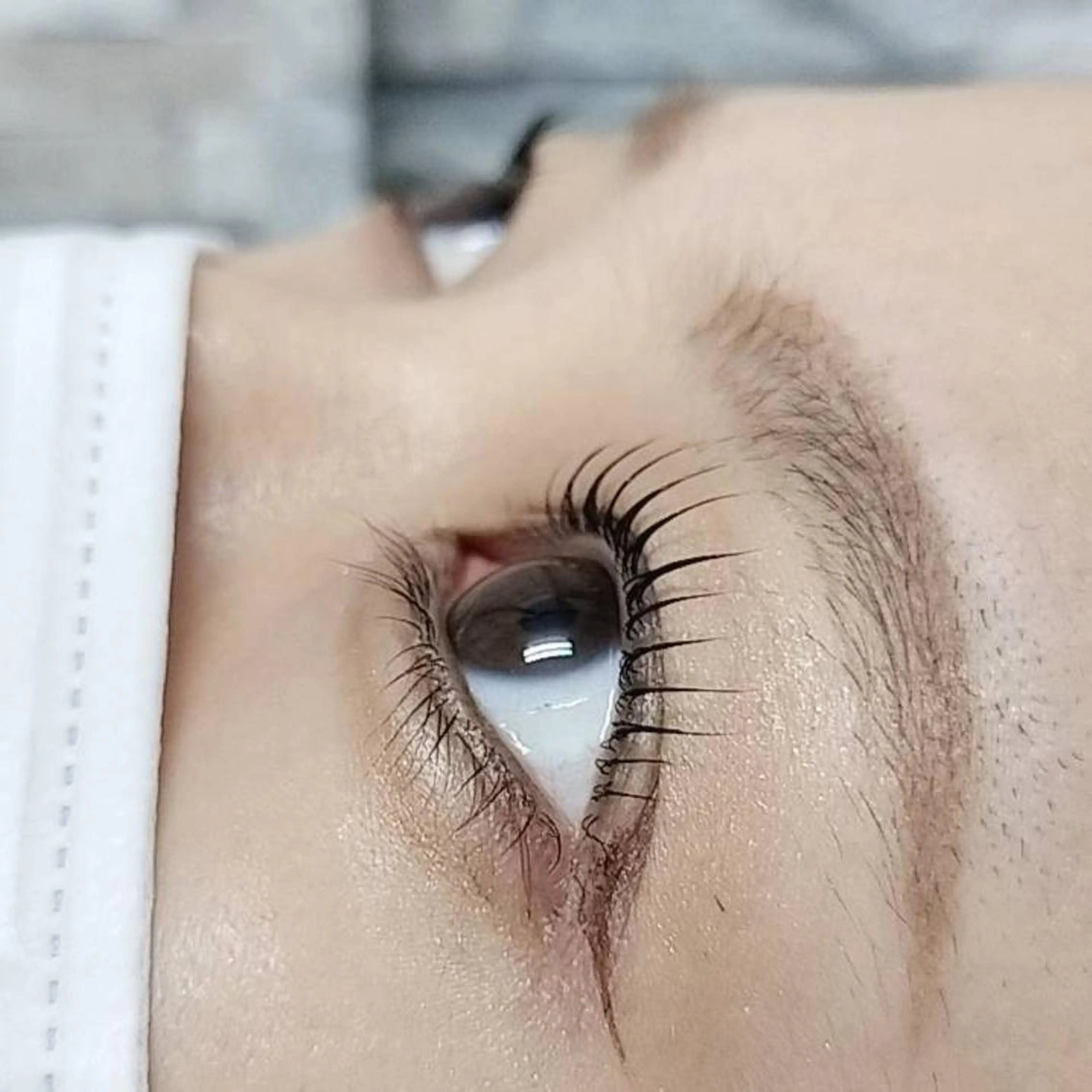 マツエク・マツパ まつげパーマ マツパ tomonail eyelistのマツエク・マツパデザイン