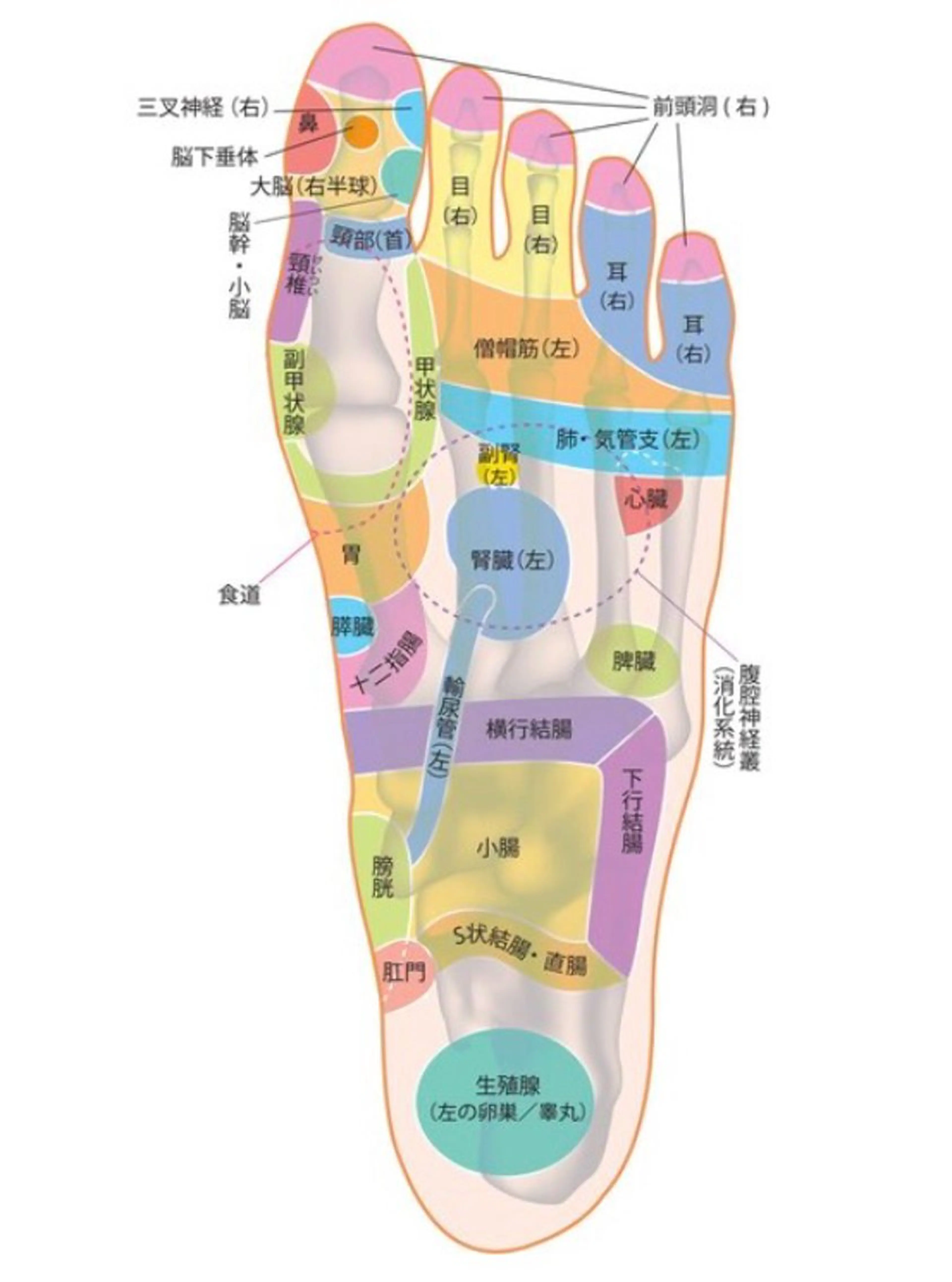 金指足湯館所属・リラクゼーション 金指足湯館のエステ・リラクイメージ