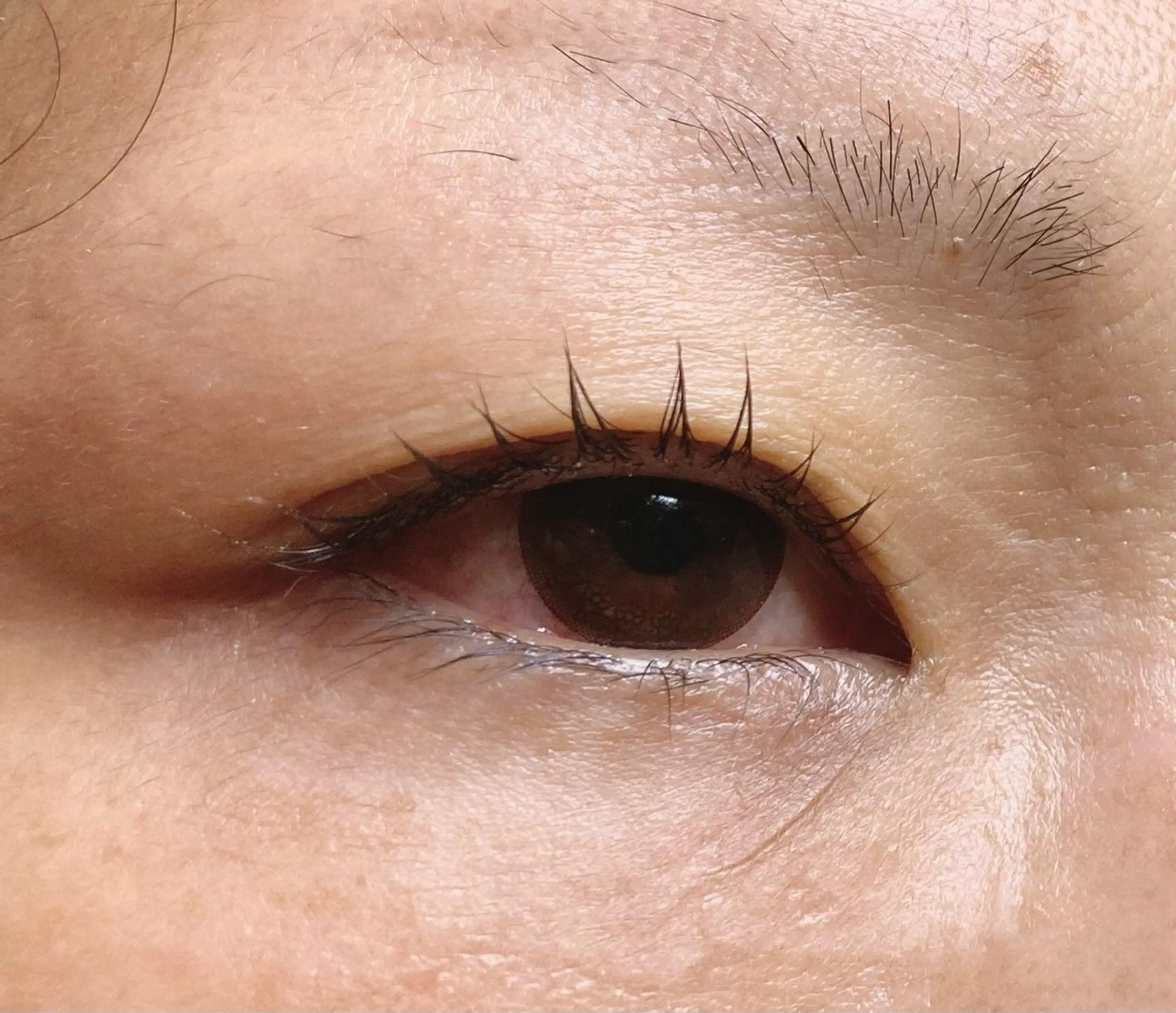 マツエク・マツパ stella柏店 高畑和子のマツエク・マツパデザイン