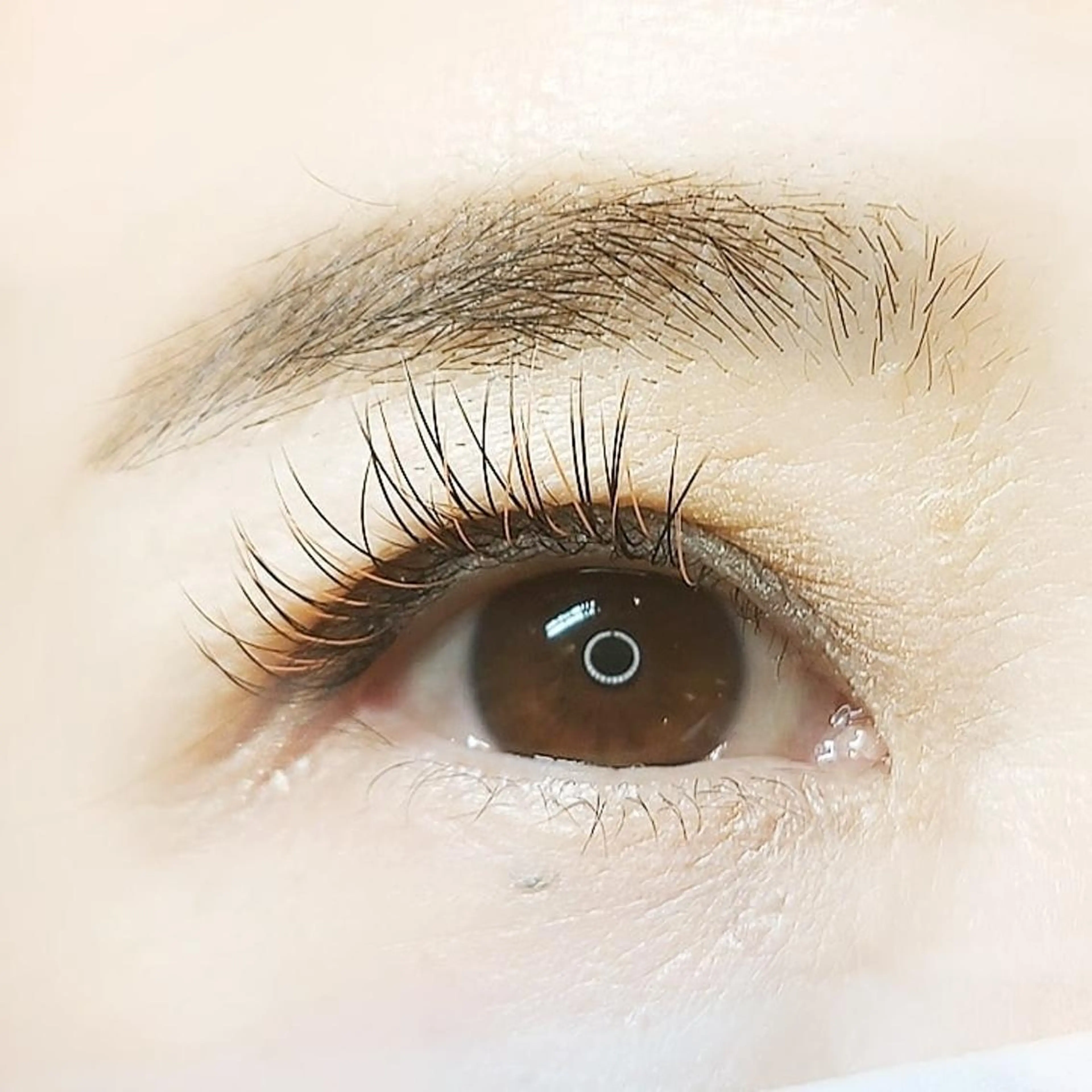 マツエク・マツパ カラーマツエク LASH BAR天王寺店所属・LASH BAR  友久のマツエク・マツパデザイン