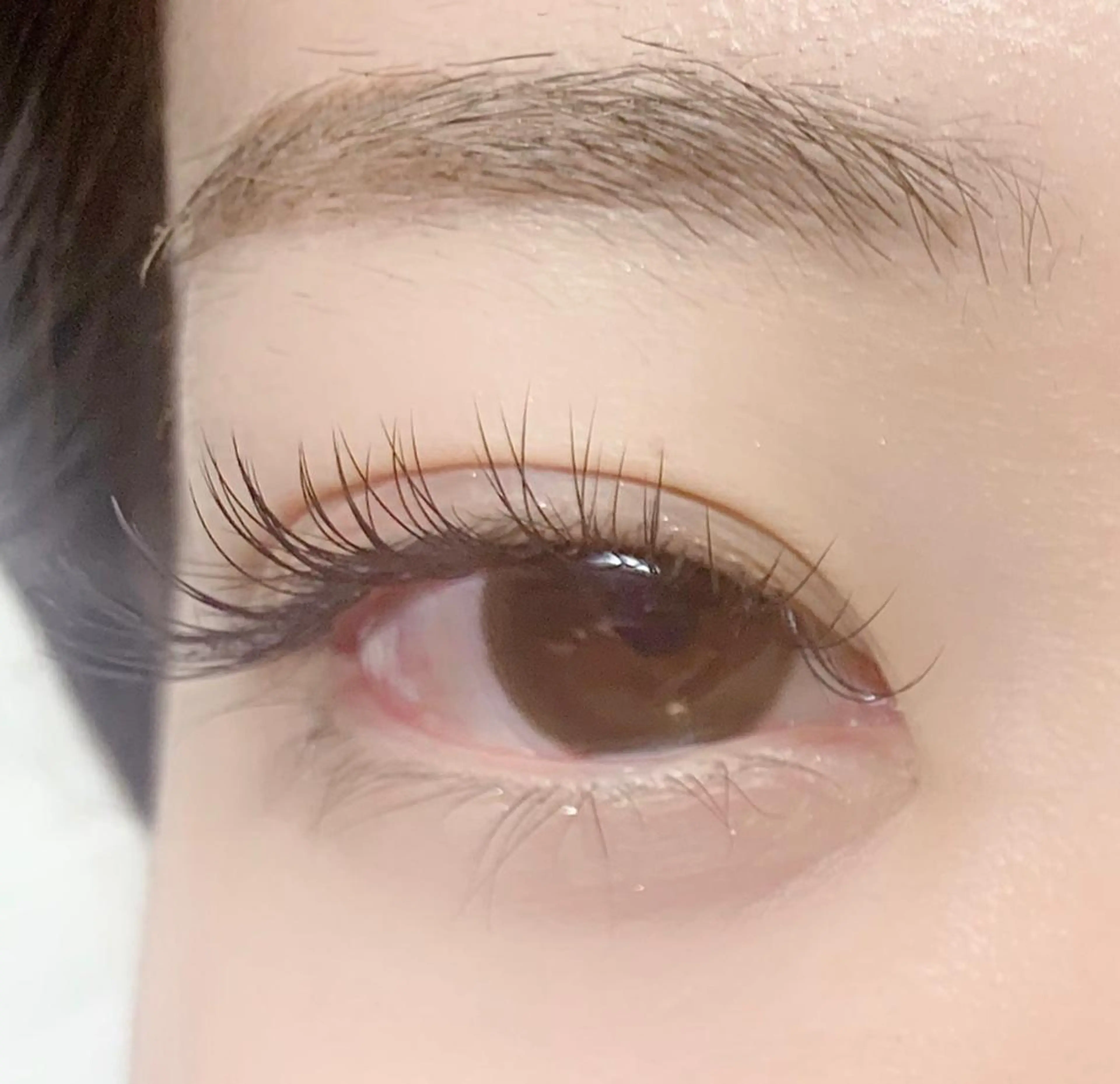 マツエク・マツパ Cカール セーブル 【ぱっちり職人】 店長 矢吹のマツエク・マツパデザイン