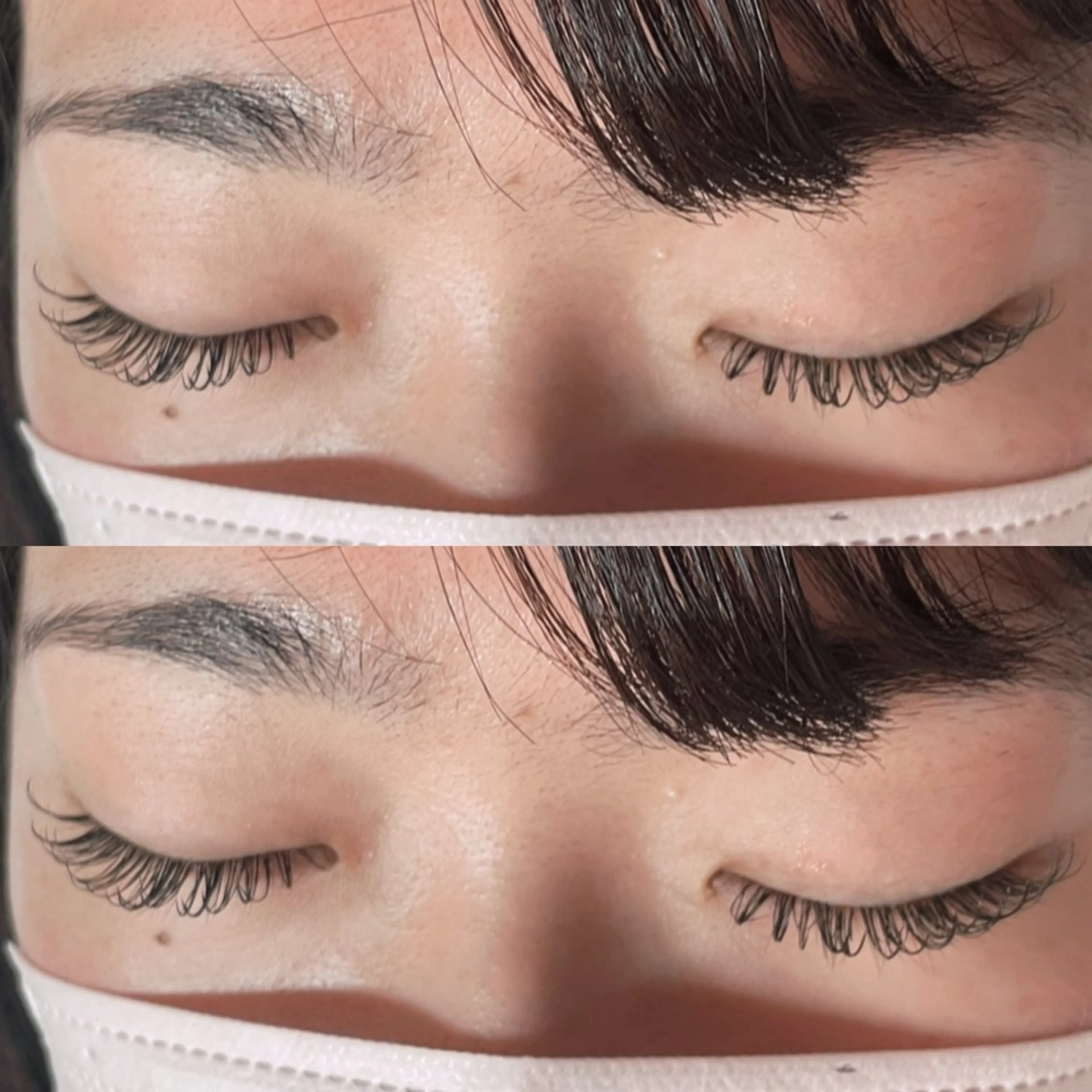 LEDマツエク🍇フラット120本の写真