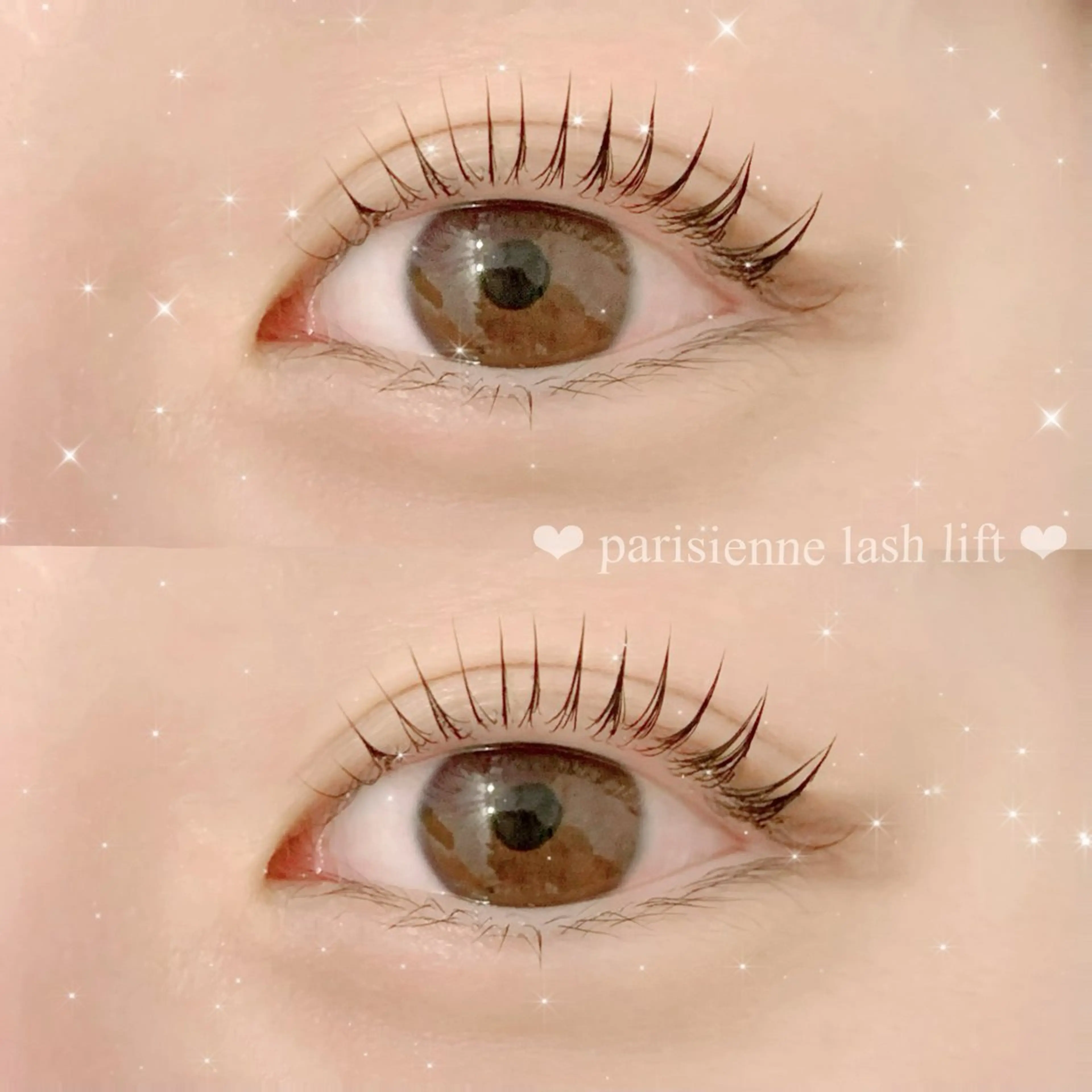 🤍 ベーシックまつ毛パーマ(上) 🤍平日限定価格の写真