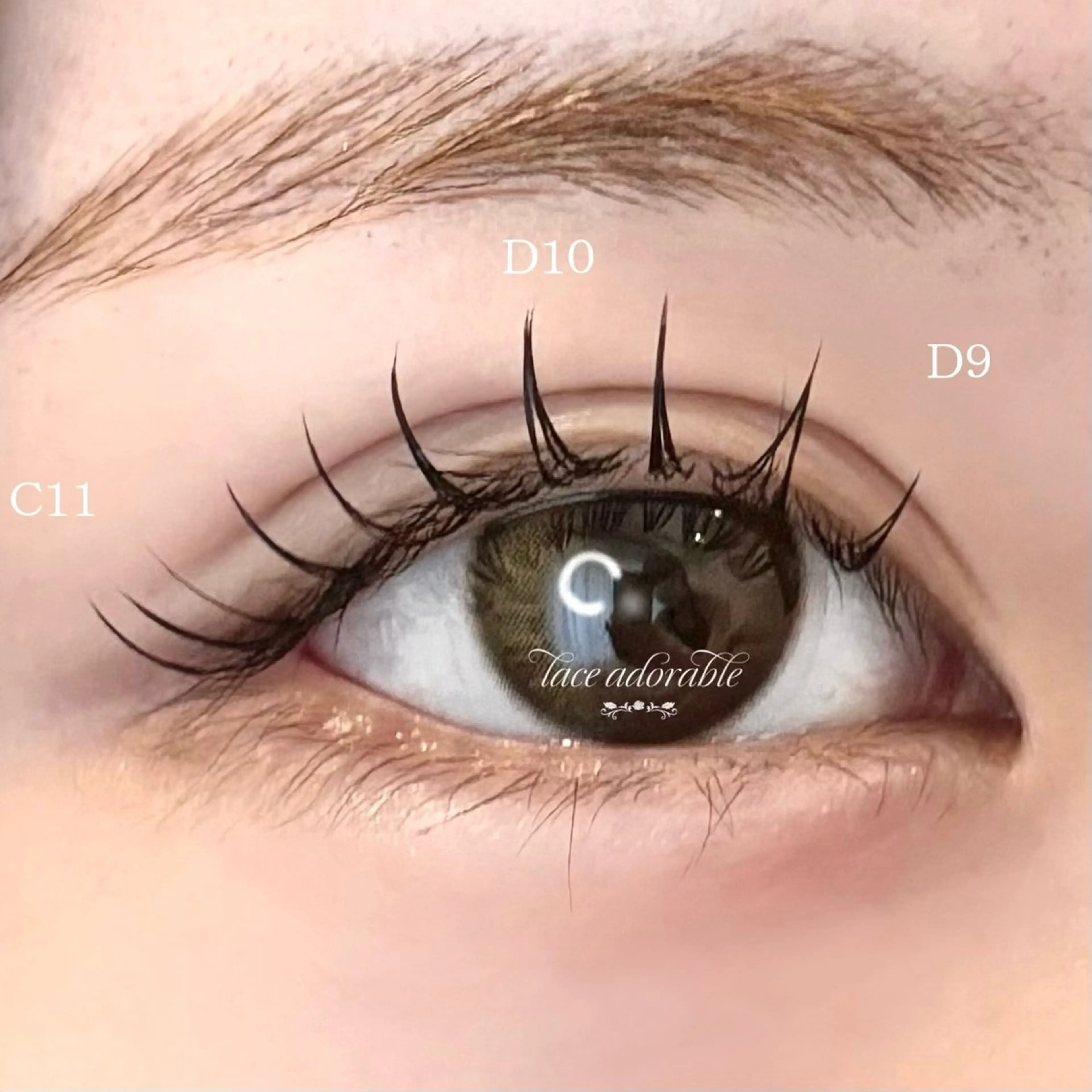 フラットラッシュ100本の写真